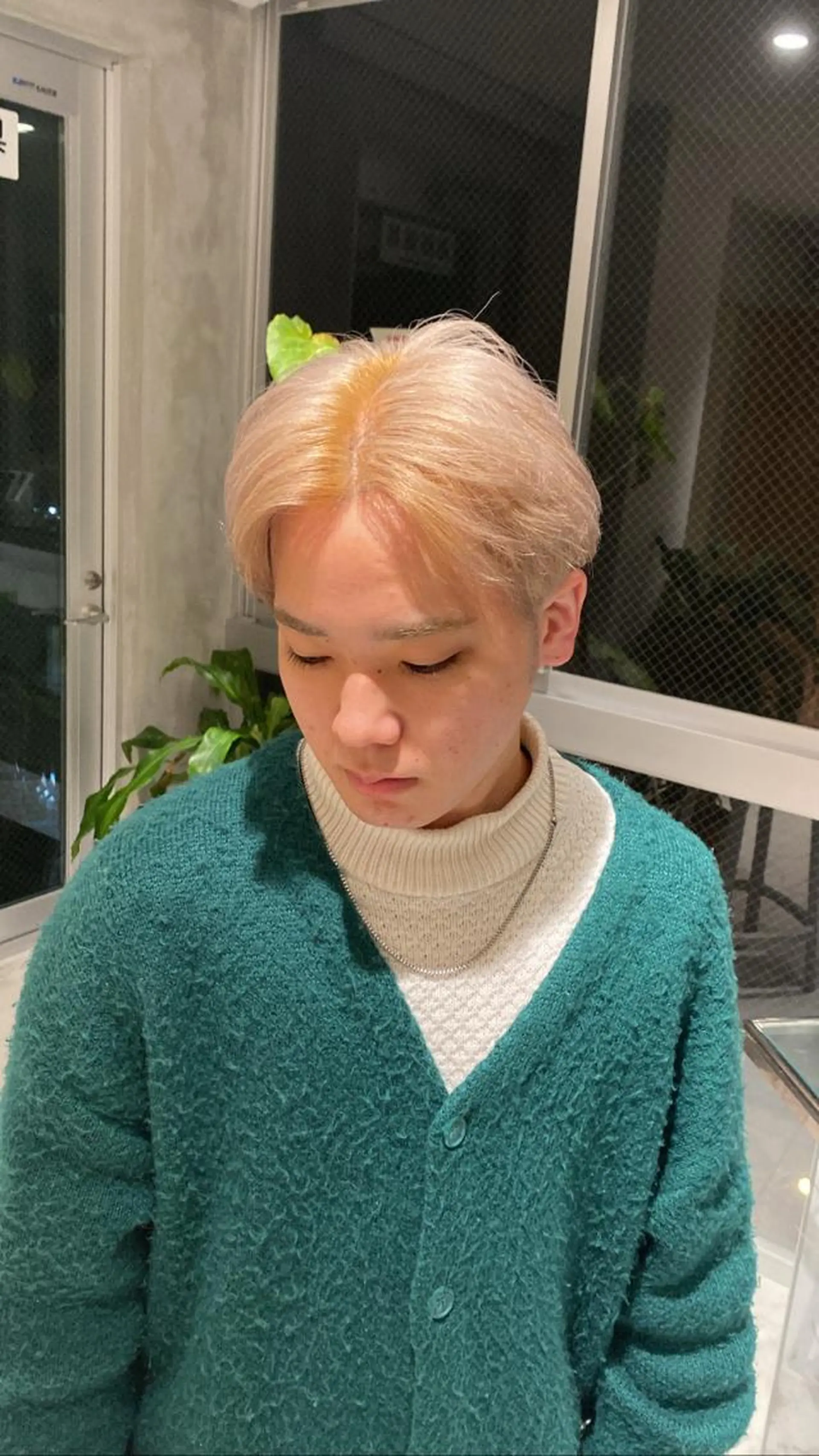 ショート ヘアカラー ブリーチなし 寒色カラーのヘアスタイル