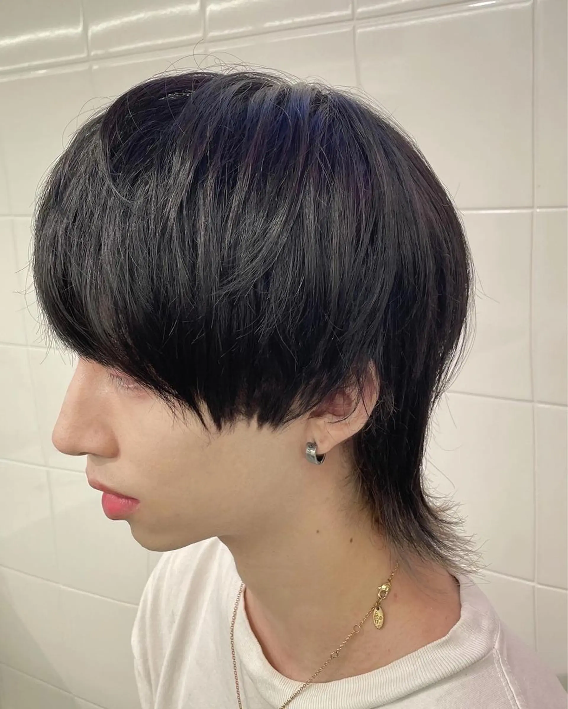 ショート カラー メンズ メンズウルフカット ウルフカット 🎀プルエクステ みまひかる🎀のヘアスタイル