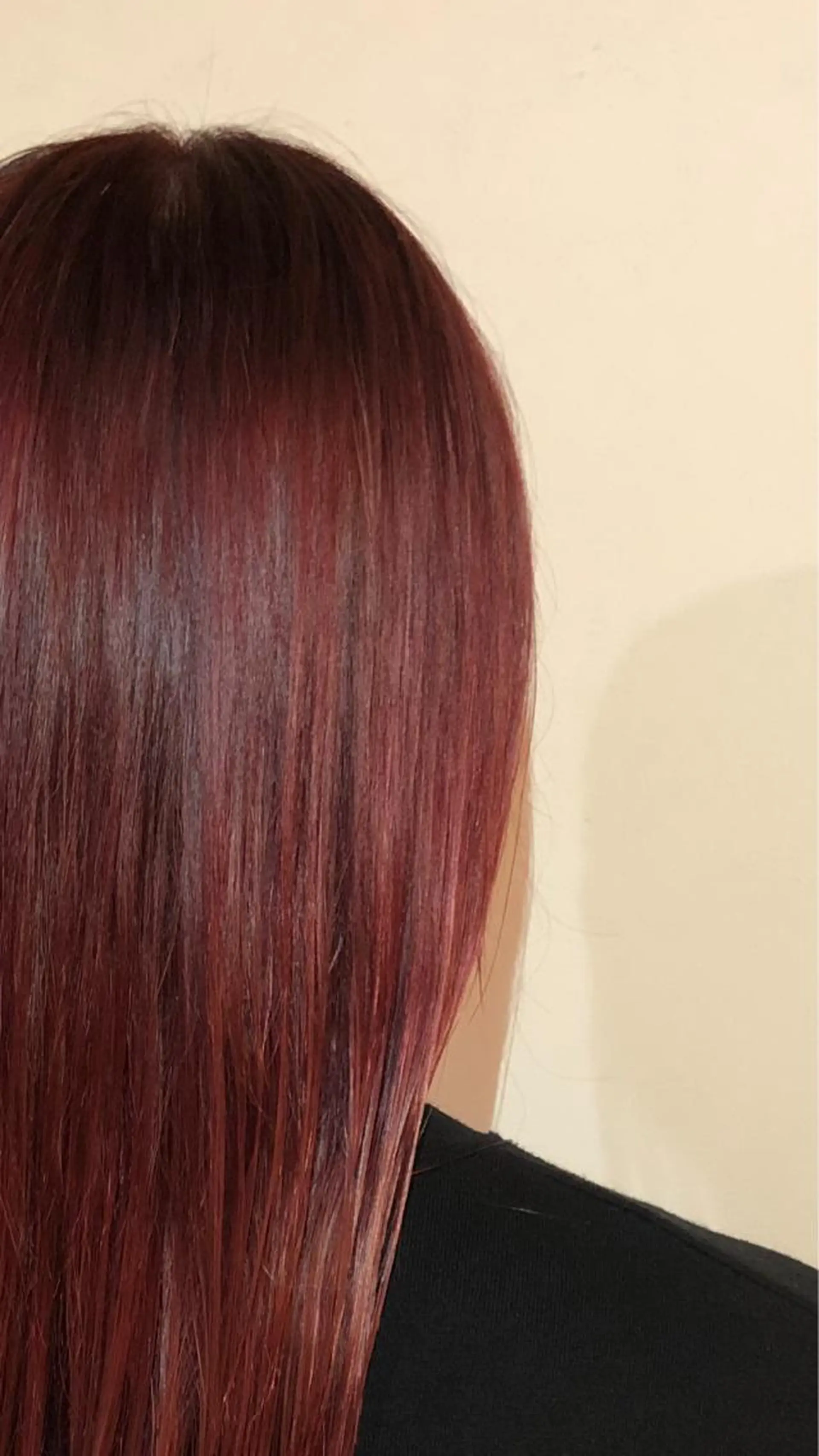 カラー のどか 노도카のヘアスタイル