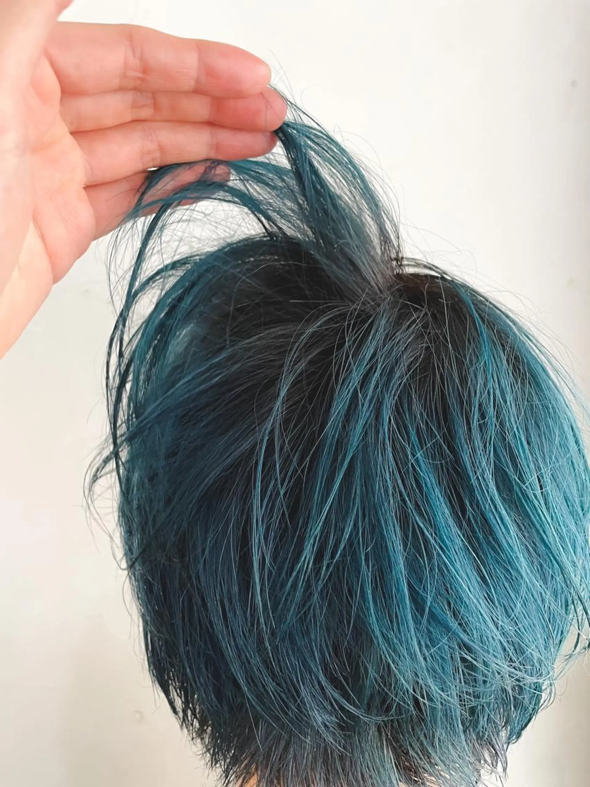 ショート カラー ブルーカラー ショート・ボブ ・ウルフ✂︎IMAIのヘアスタイル