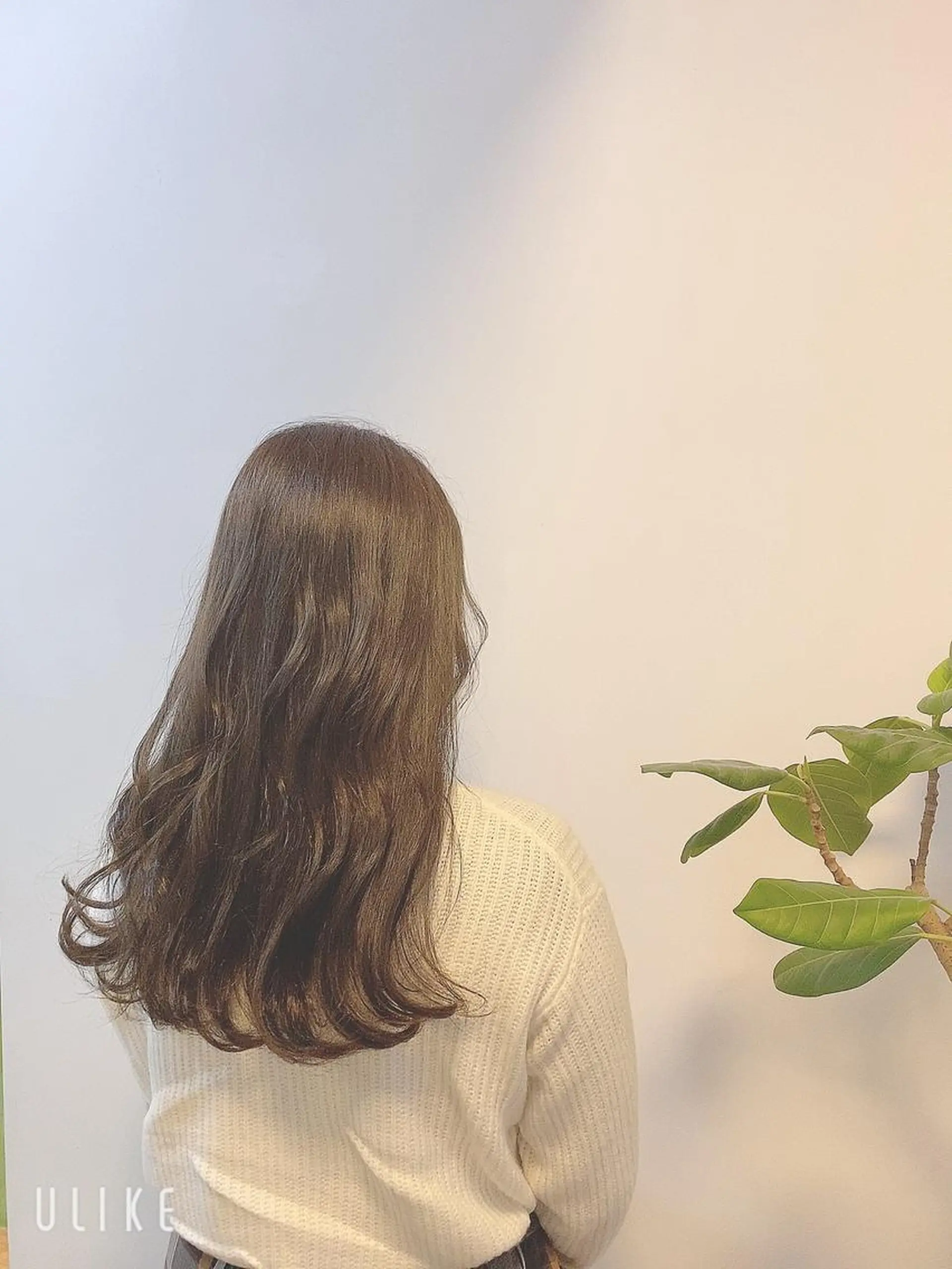 ロング カラー 【エシカル】 HOSOMIのヘアスタイル