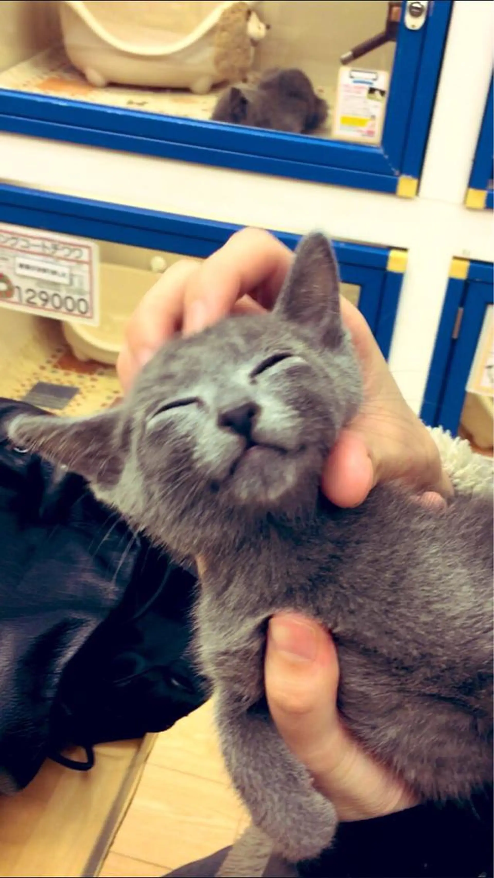 ショート カラー パーマ ヘアアレンジ メンズ キッズ ネイル マツエク・マツパ アニメ,Vオタク× 即効痩せエステサロンのエステ・リラクイメージ