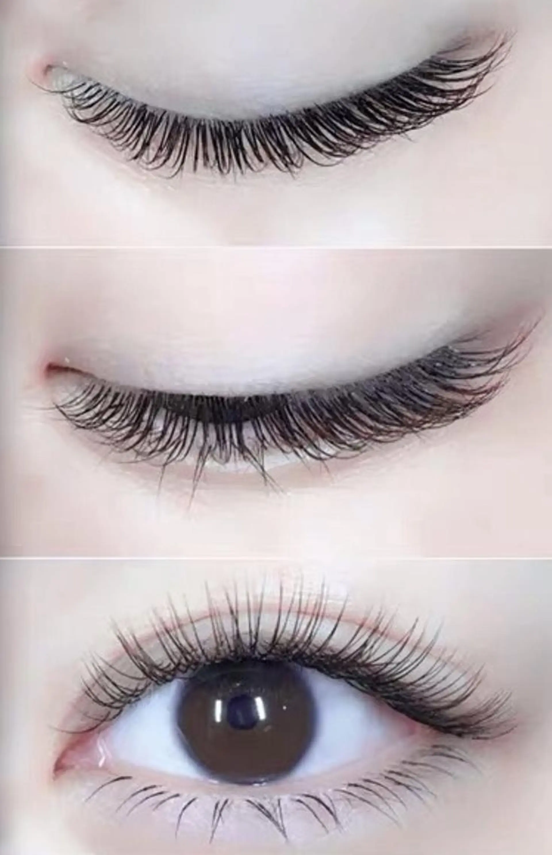 マツエク・マツパ 付け放題 ミンク Cute B e au t yのマツエク・マツパデザイン