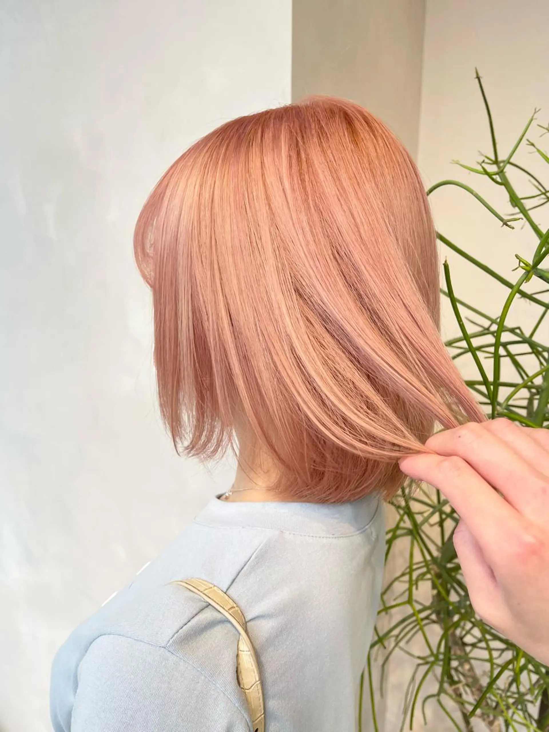 ショート カラー 🦋レイヤーカット ミドリカワ🦋のヘアスタイル