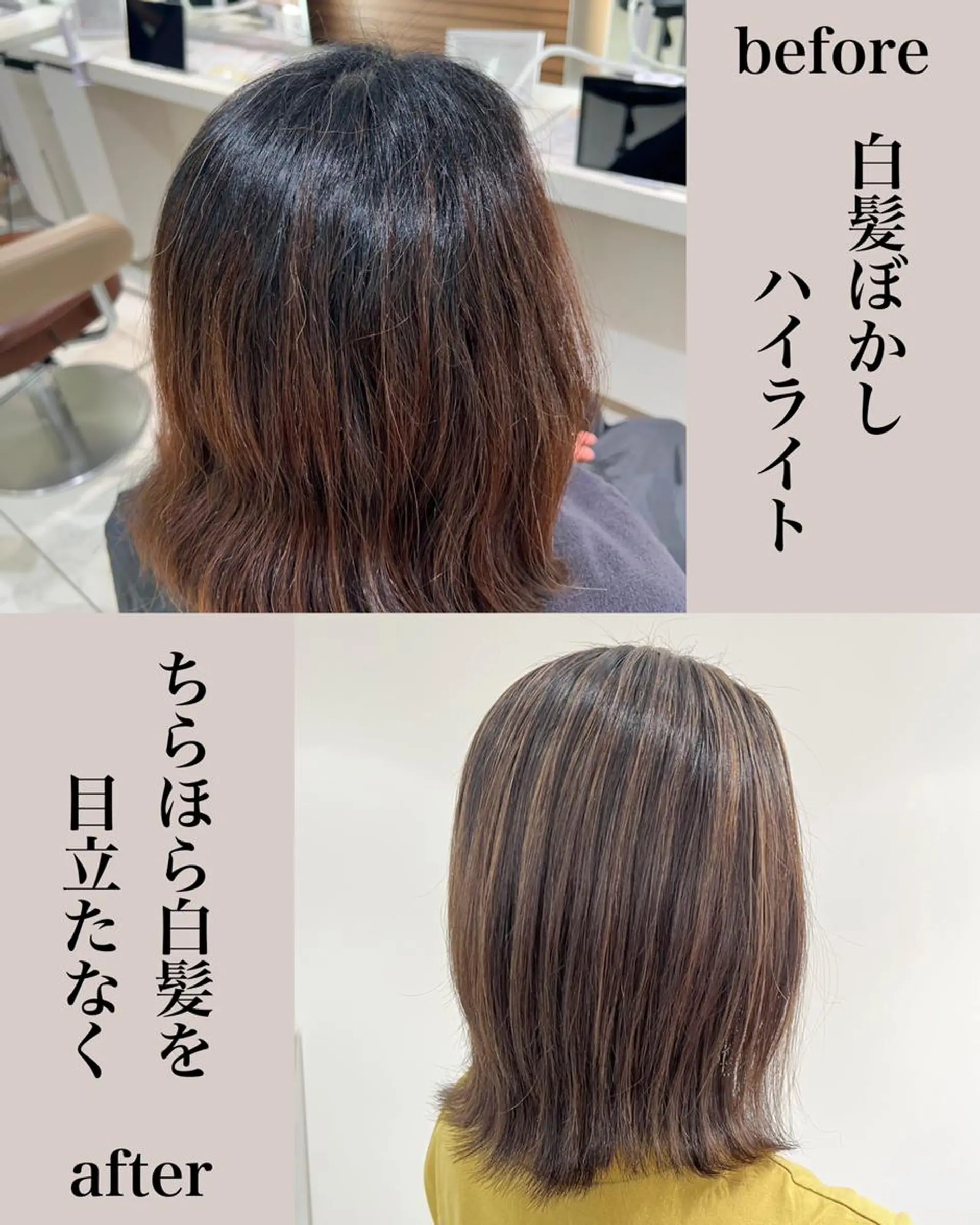 ミディアム ハイライト ＡＳＨ 大宮のヘアスタイル