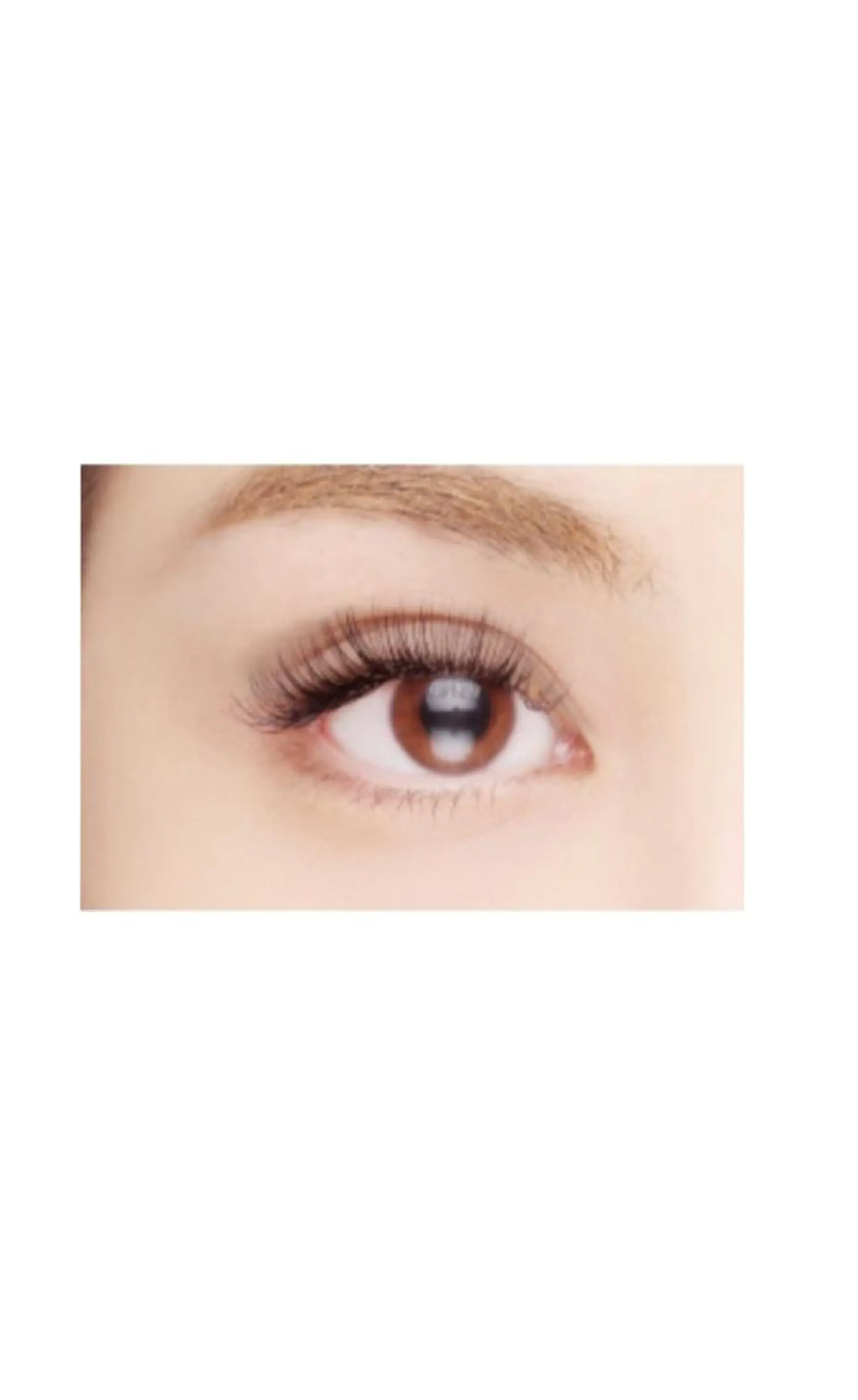 マツエク・マツパ マツエク Ele'na eye beautyのマツエク・マツパデザイン