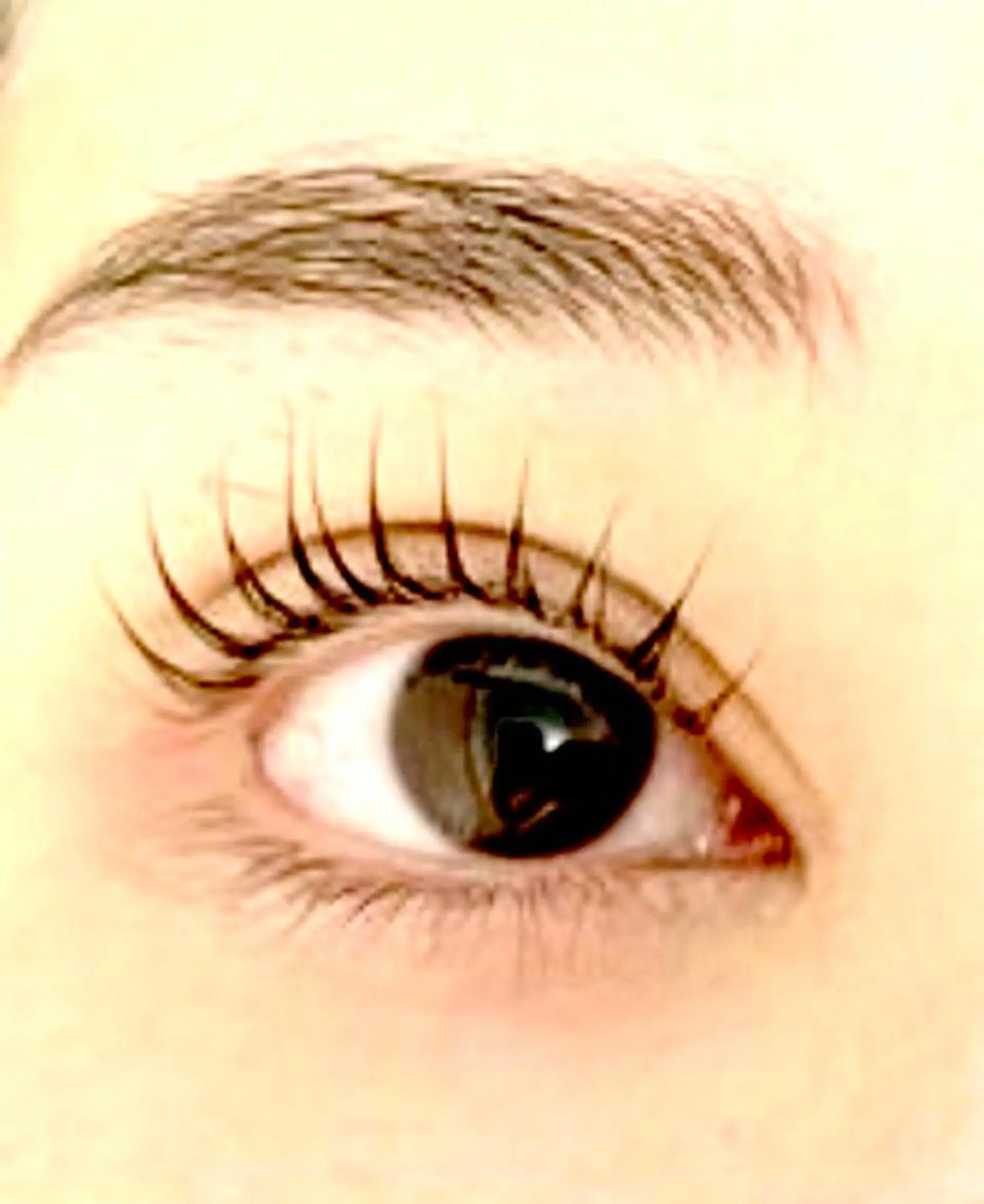 マツエク・マツパ eyelash salon　sakura所属・eyelash sakuraの眉毛・アイブロウイメージ