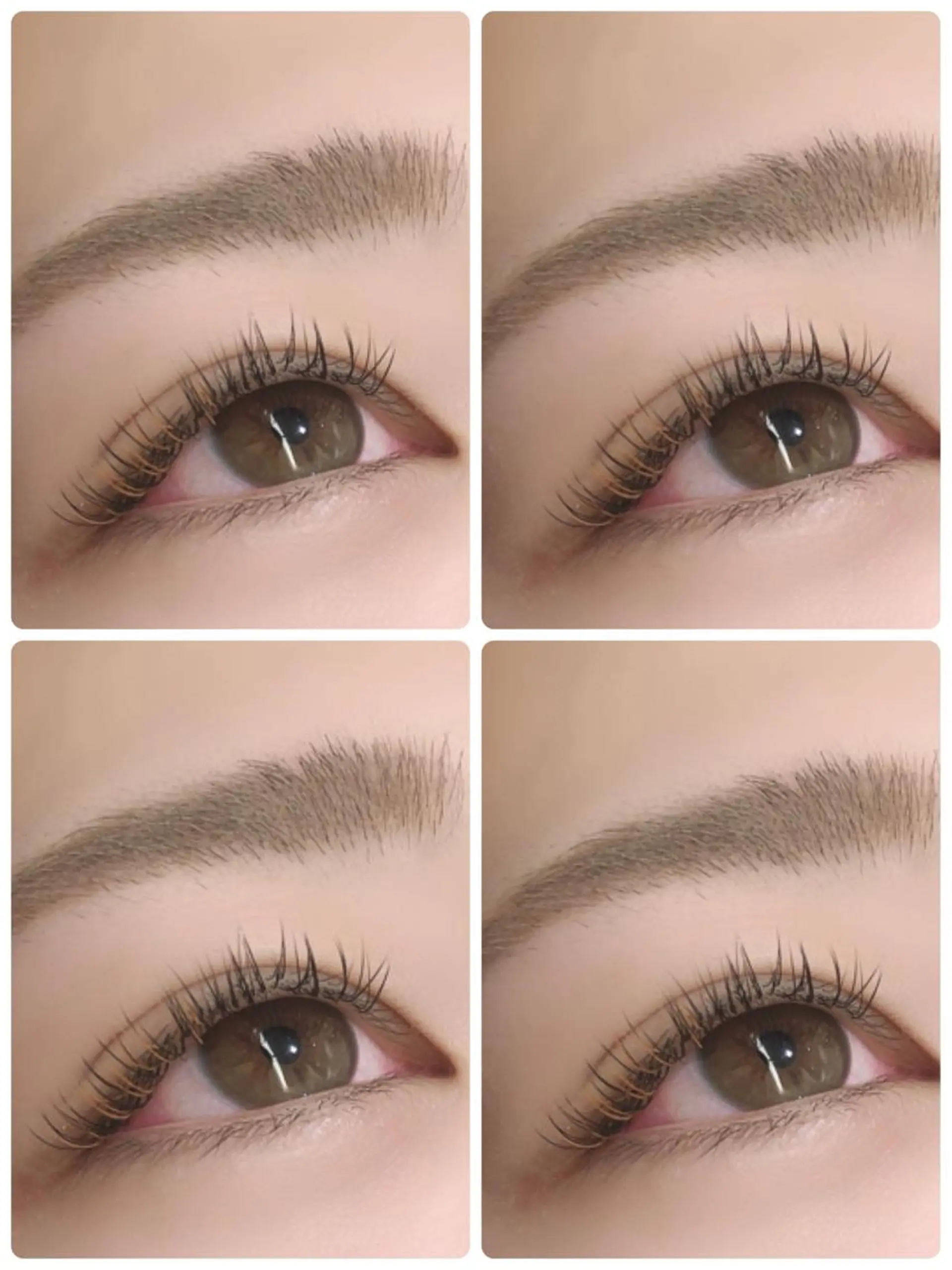 マツエク・マツパ 🌿レイヤー/髪質 改善/🌿JINのヘアスタイル