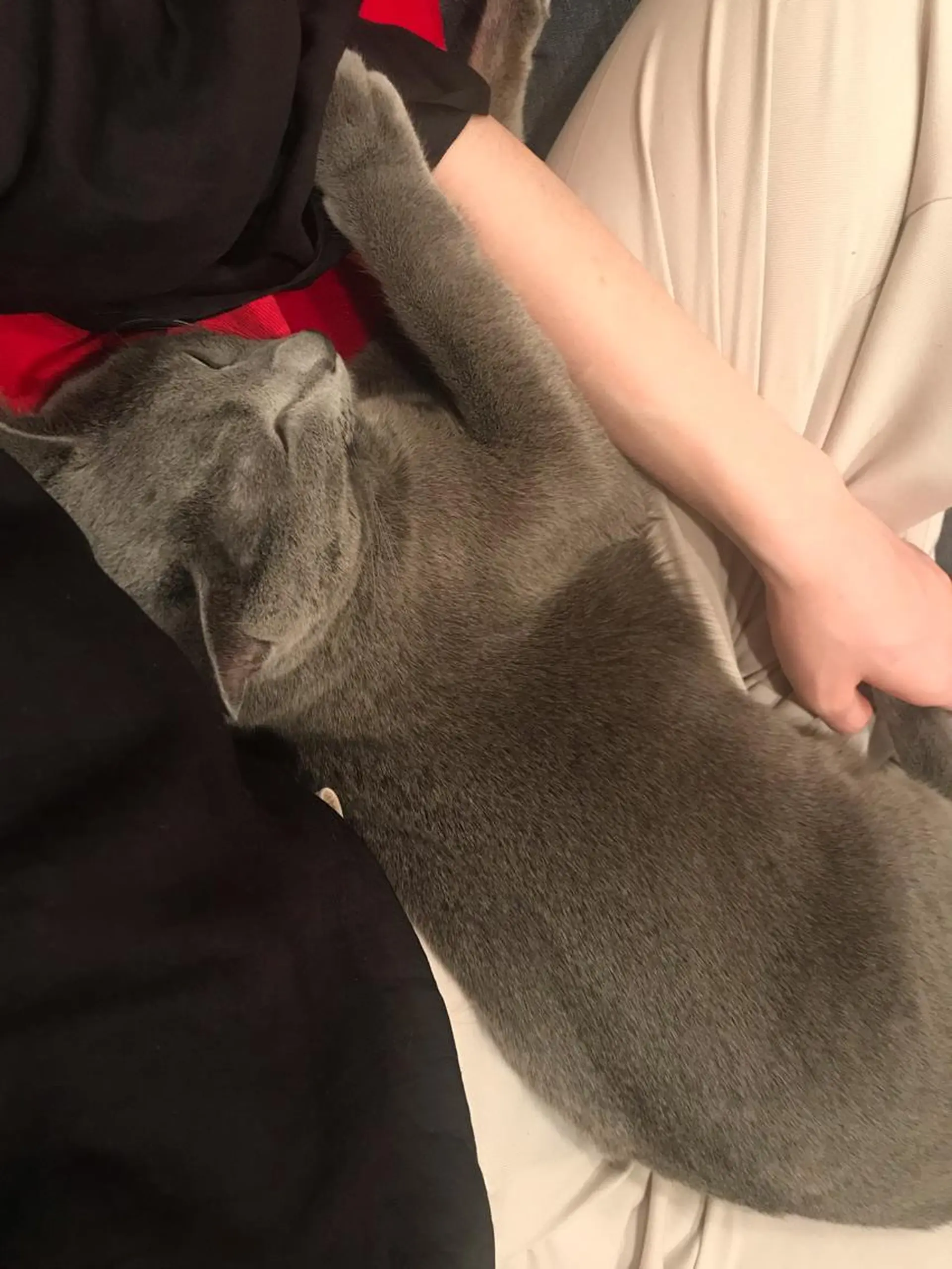 ショート カラー パーマ ヘアアレンジ メンズ キッズ ネイル マツエク・マツパ アニメ,Vオタク× 即効痩せエステサロンのエステ・リラクイメージ