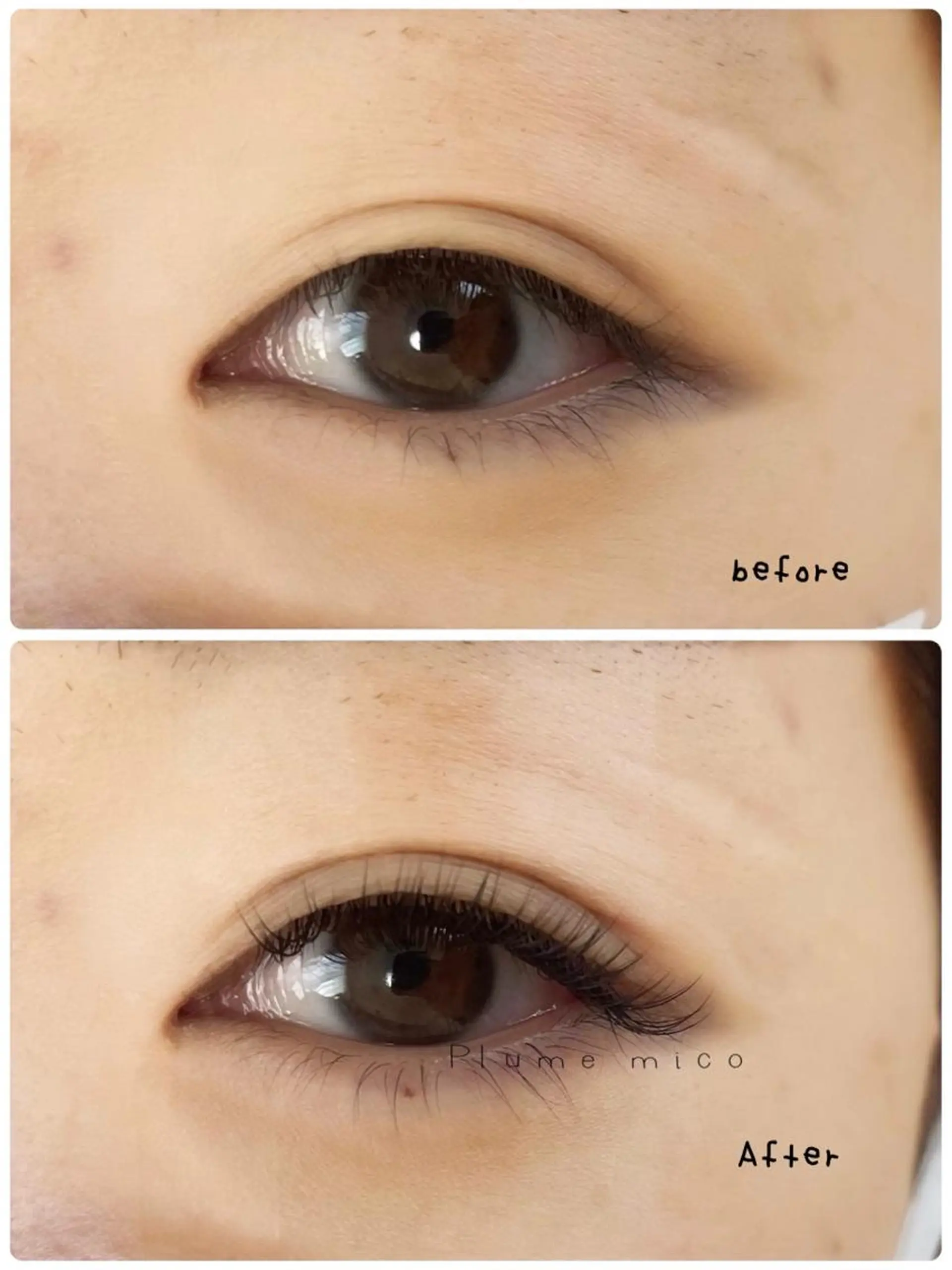 マツエク・マツパ マツエク Plume micoのマツエク・マツパデザイン