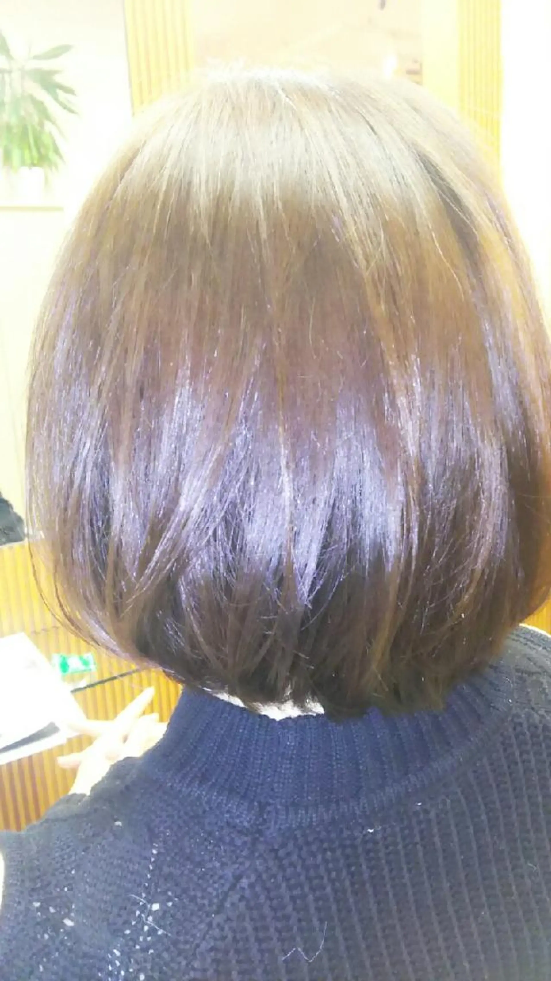 ショート ボブ 脇田 雄大のヘアスタイル