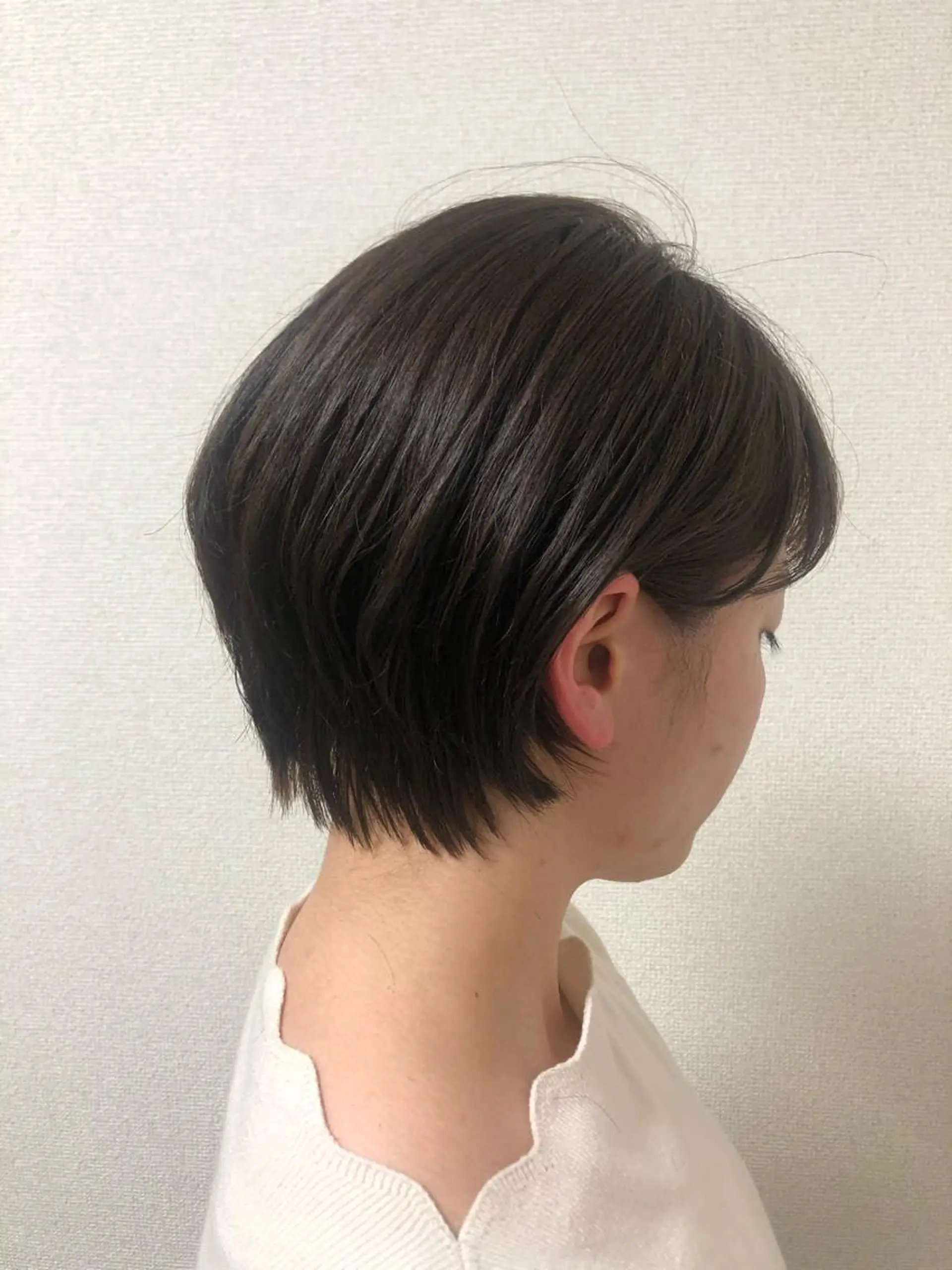 ショート ショートボブ 丸みショート アッシュ パープルカラー ボブ カット 大久保 真希のヘアスタイル