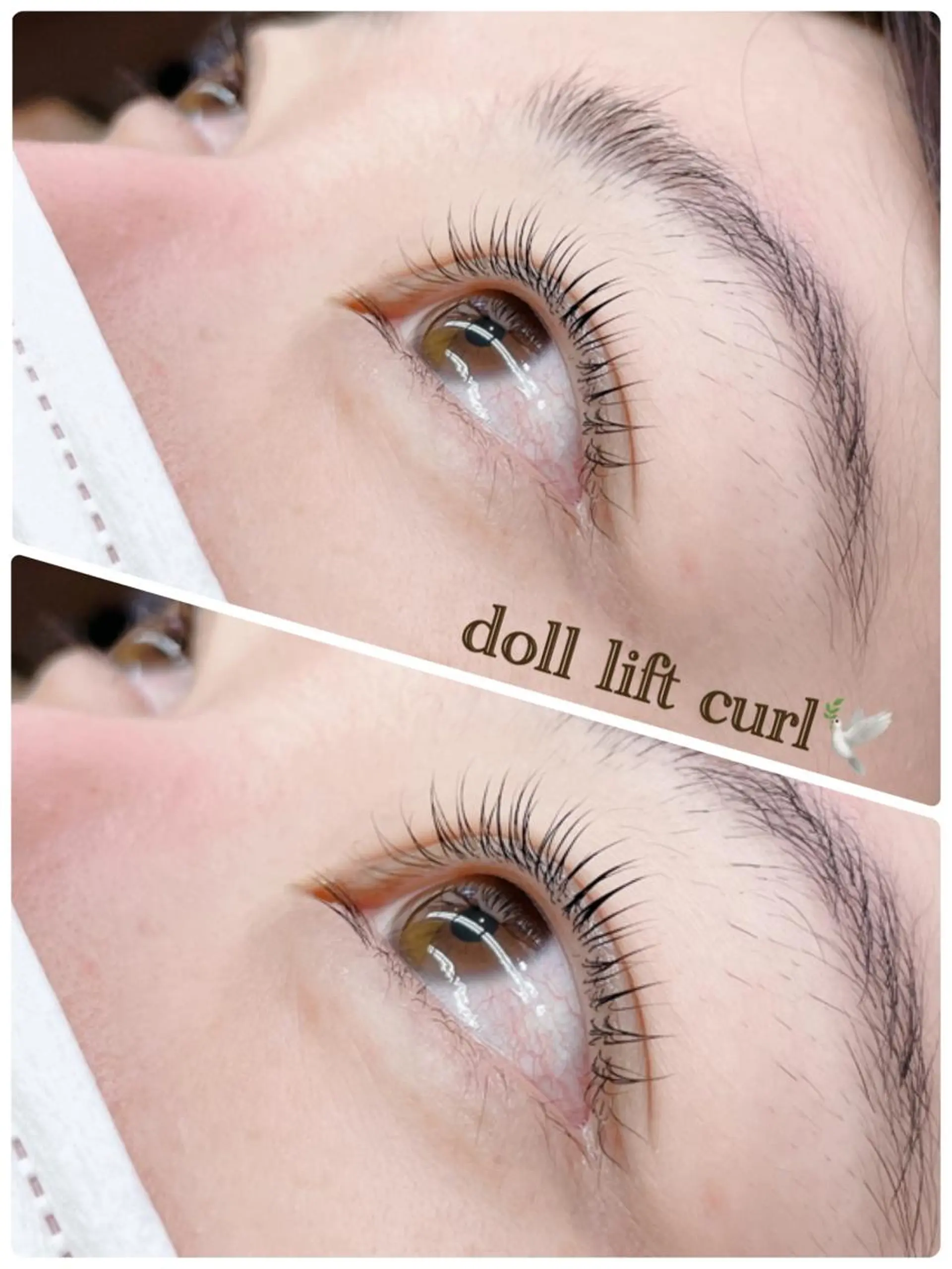 マツエク・マツパ 一重×まつ毛パーマ WE RULE 札幌店 【ウィールール 札幌店】所属・✨️大人ショート 髙橋朋花のヘアスタイル