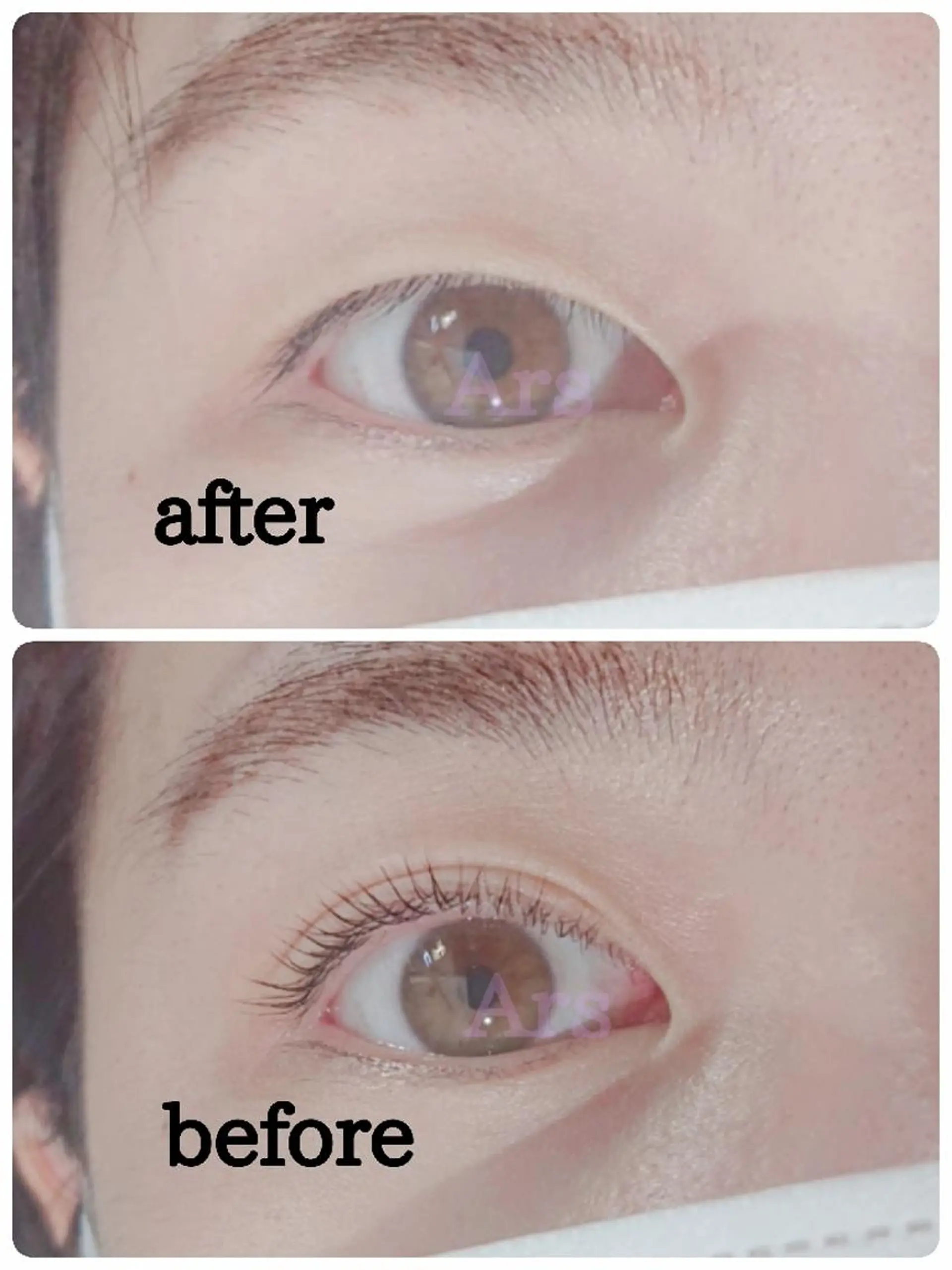 マツエク・マツパ アイリッドアップパーマ Ars  (ｱﾙｽ)所属・Ars      (ｱﾙｽ)のマツエク・マツパデザイン