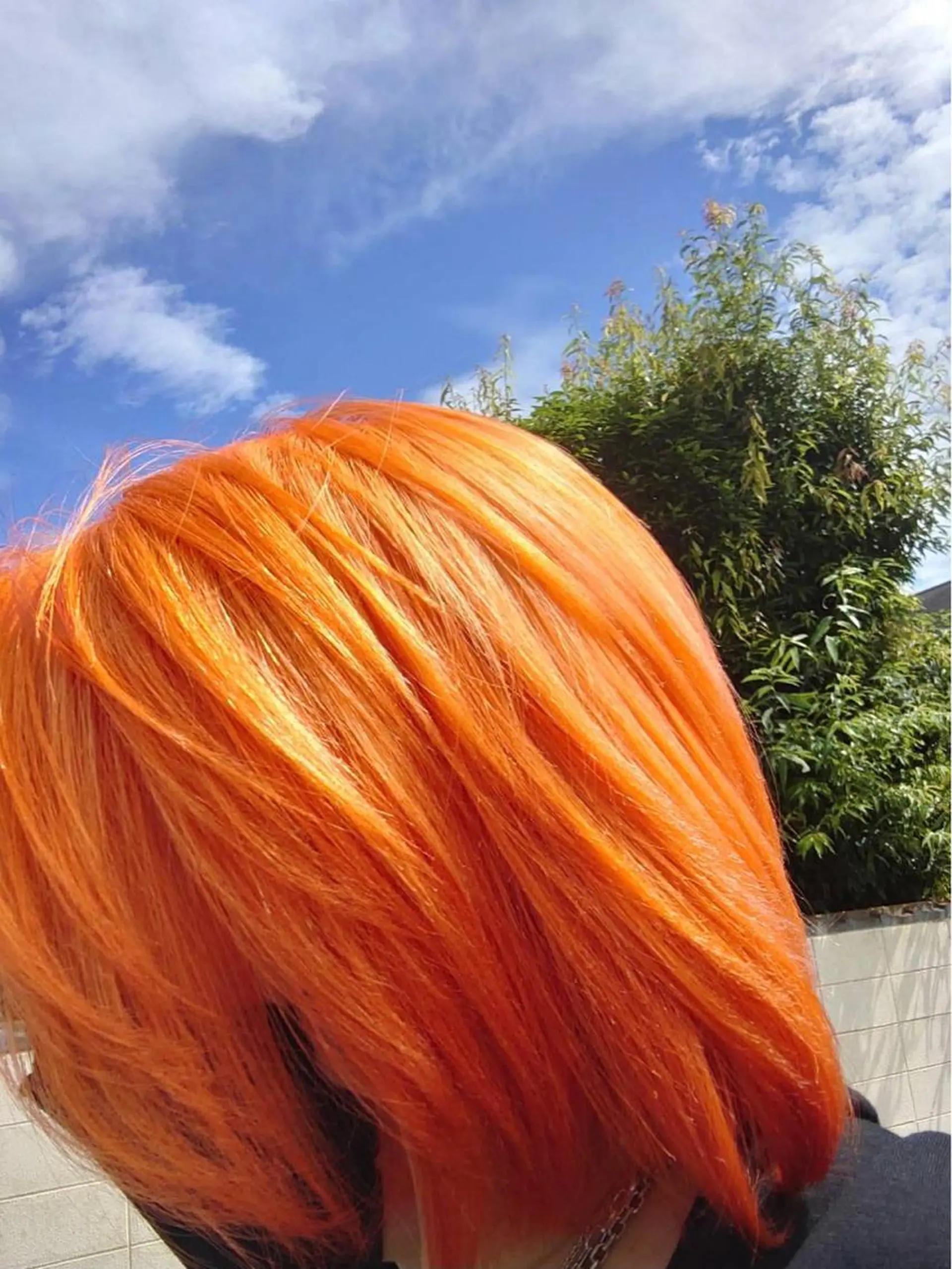 ミディアム カラー カット ヘアカラー トリートメント MARDI GRAS 蘭丸のヘアスタイル