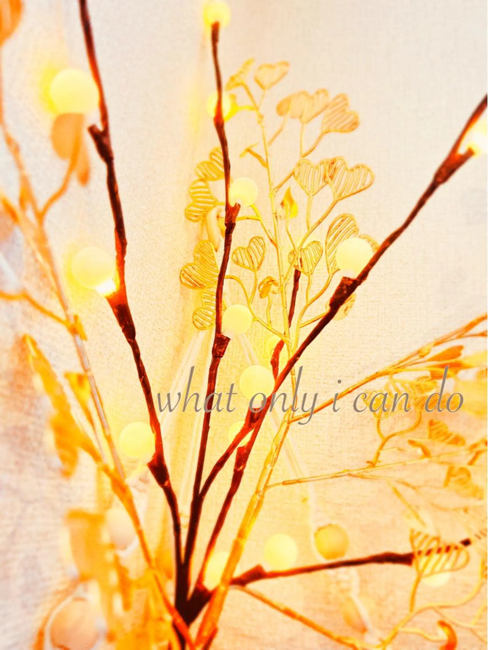 マツエク・マツパ カラーマツエク アイラッシュサロン Moa  Moa所属・MoaMoa 🩵ᩚsaya🩵ᩚのマツエク・マツパデザイン