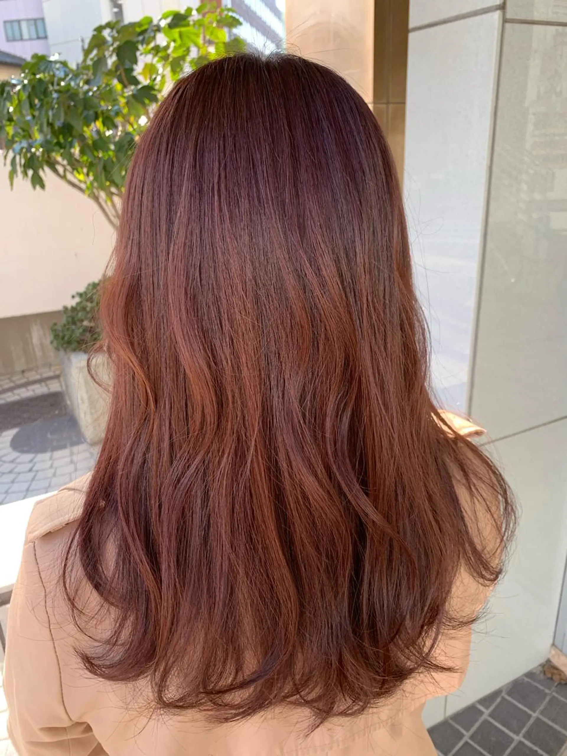 セミロング Luce 杉本のヘアスタイル