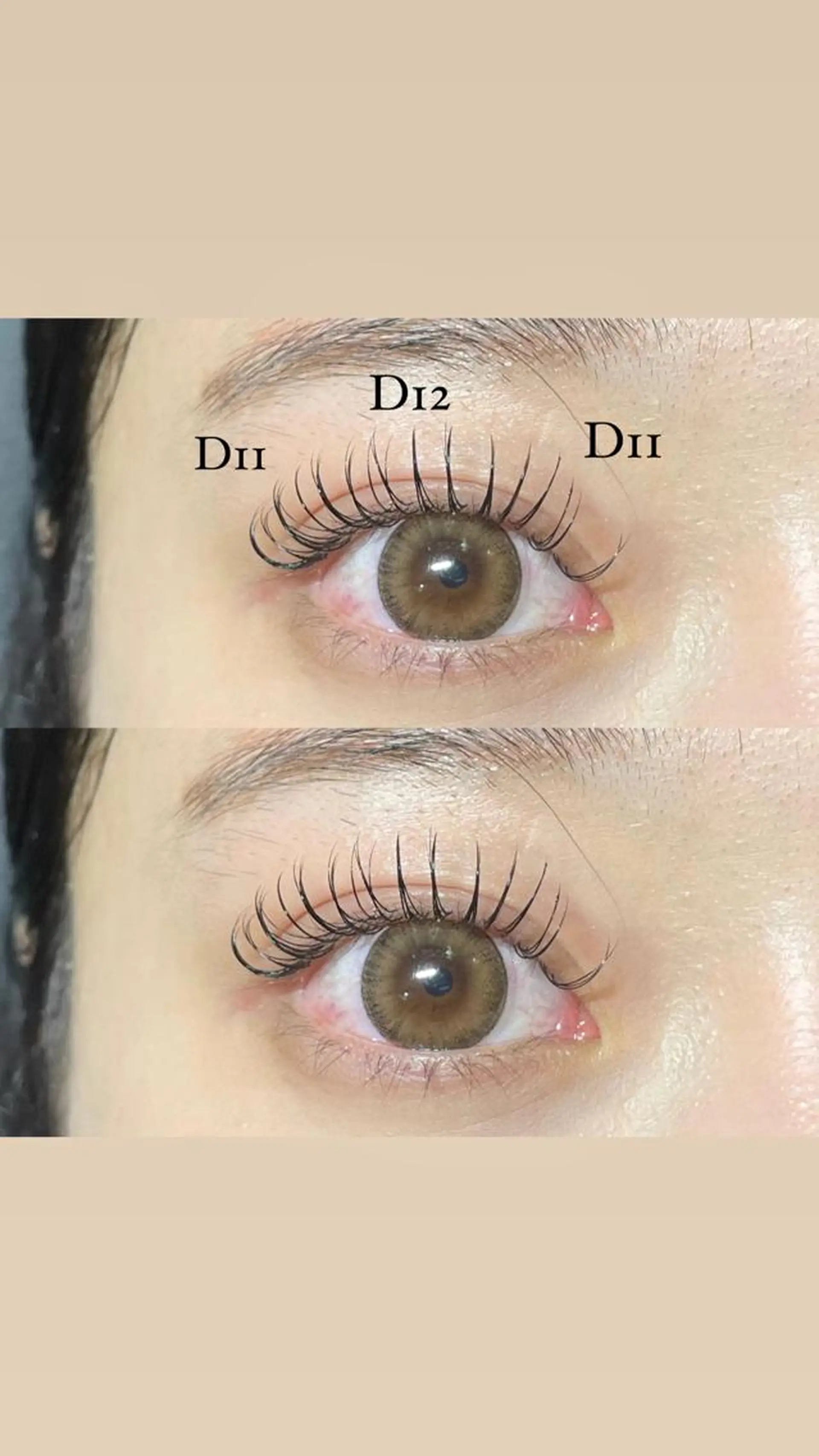 マツエク・マツパ Dカール セーブル ＋tico _ayanaのマツエク・マツパデザイン