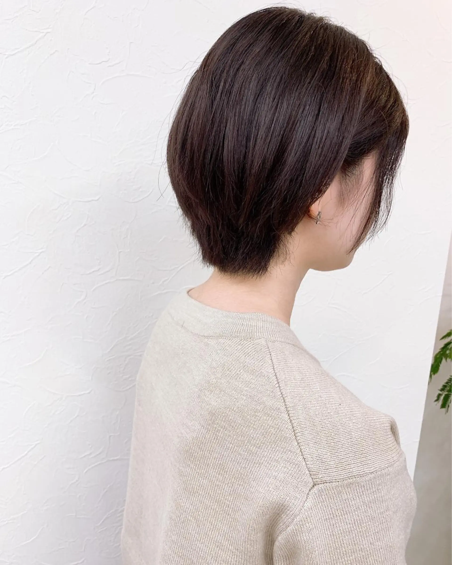 ショート レッドブラウン タカミ荒子店所属・眉毛ワックス konomiの眉毛・アイブロウイメージ