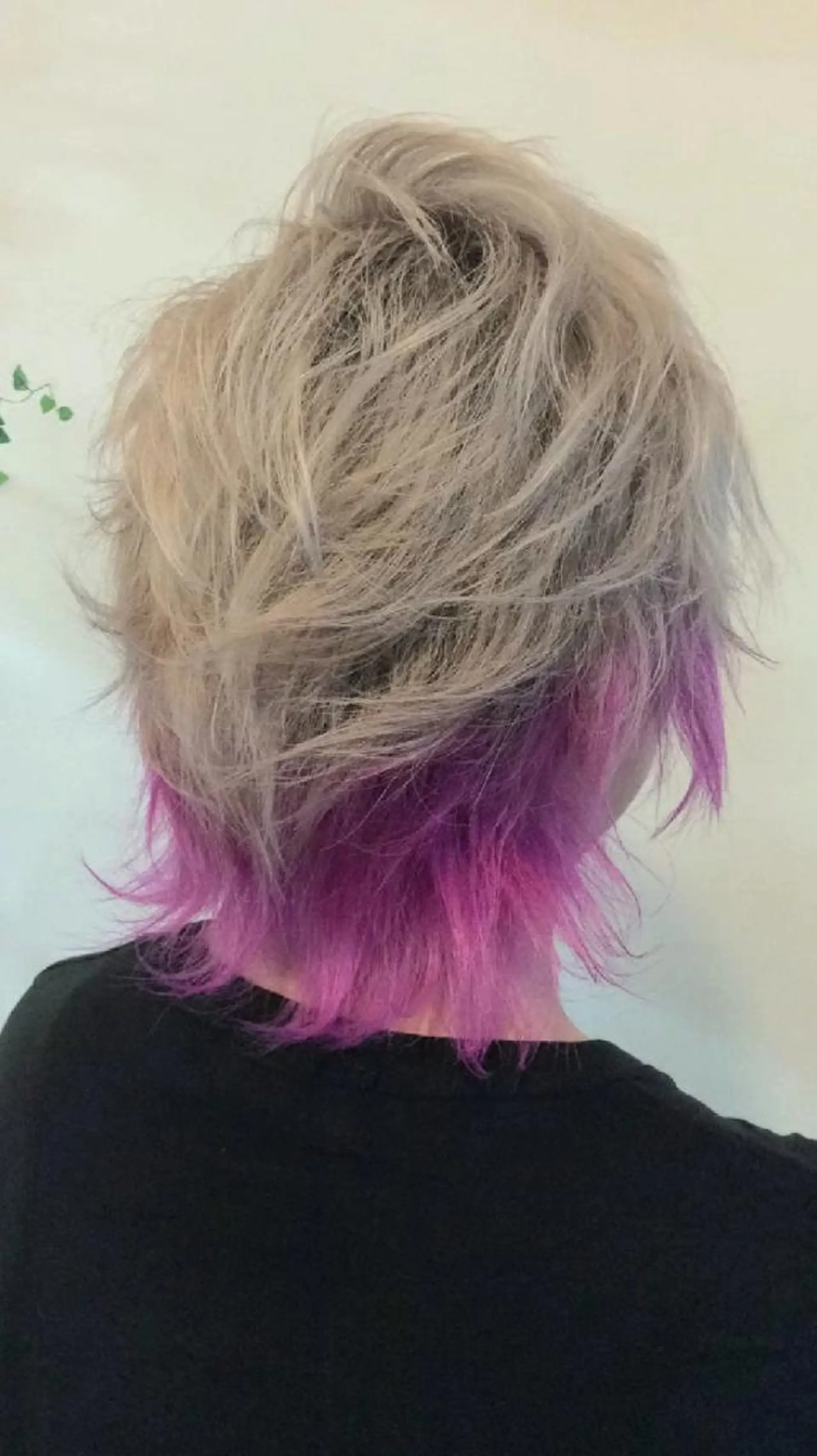 ショート カラー デザイナー Anne アンのヘアスタイル