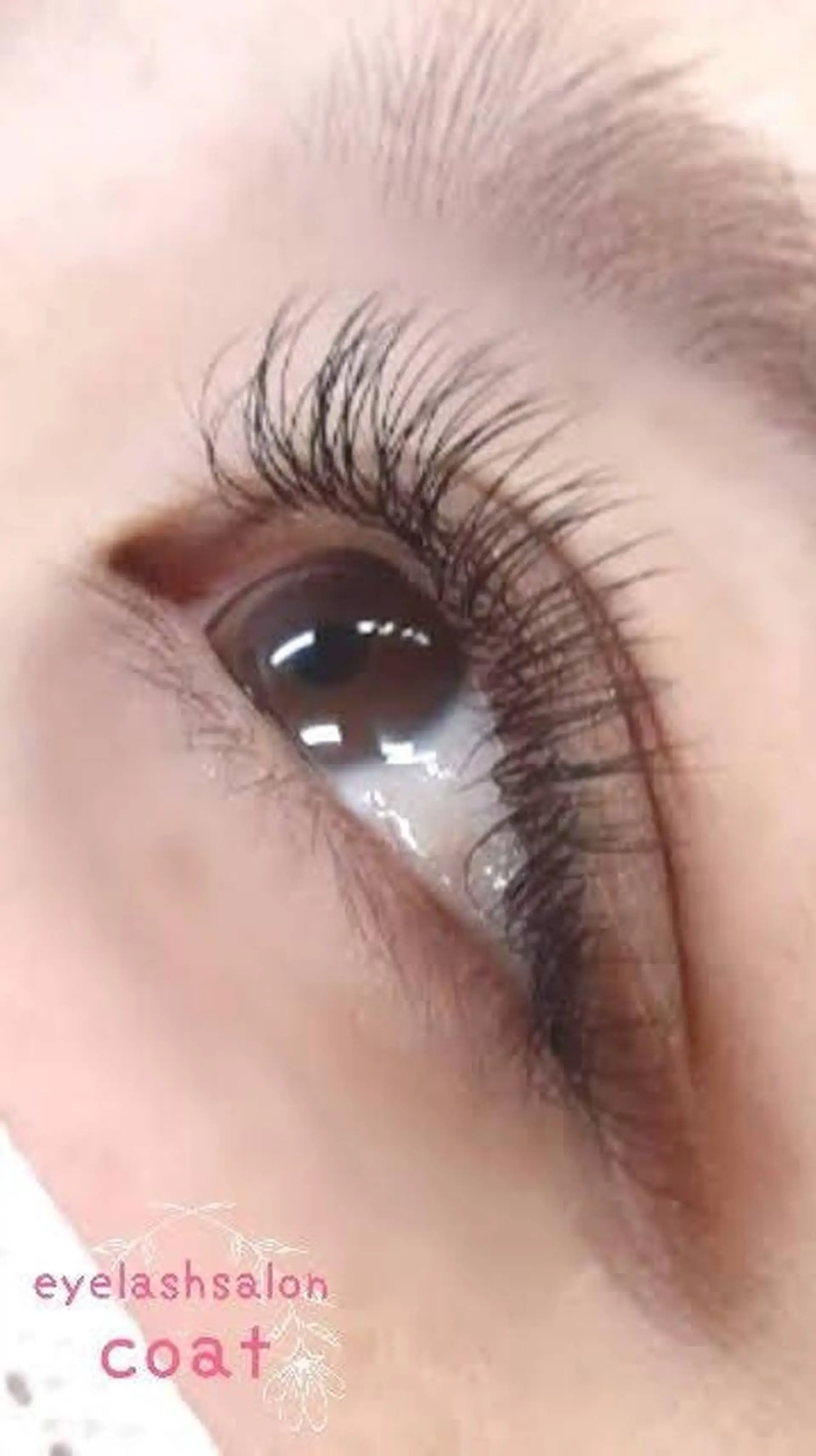 マツエク・マツパ マツエク eyelash salon coat所属・eyelash saloncoatのマツエク・マツパデザイン
