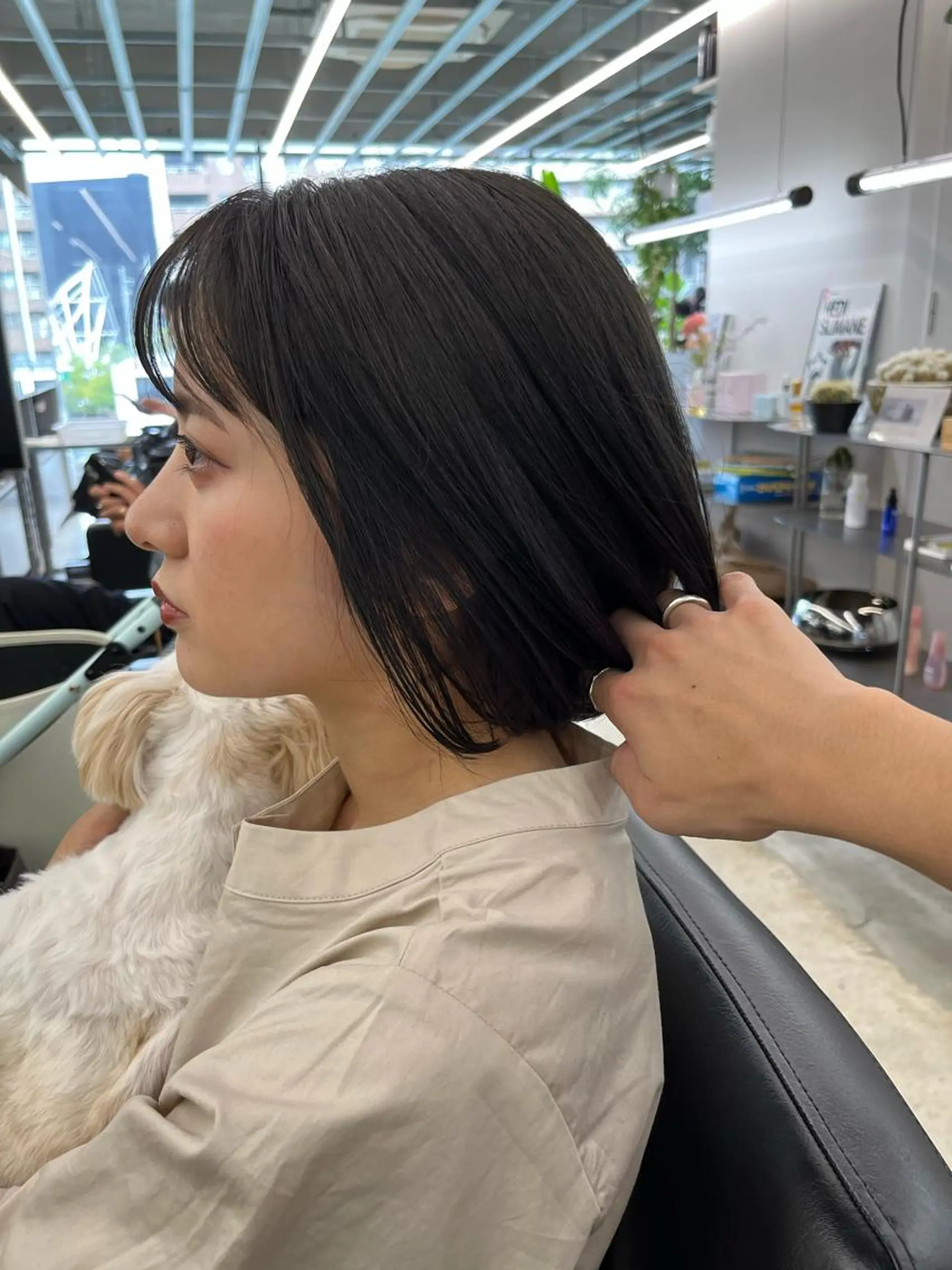 ミディアム カラー カット ダブルカラー/ ケアブリーチ/クニトのヘアスタイル