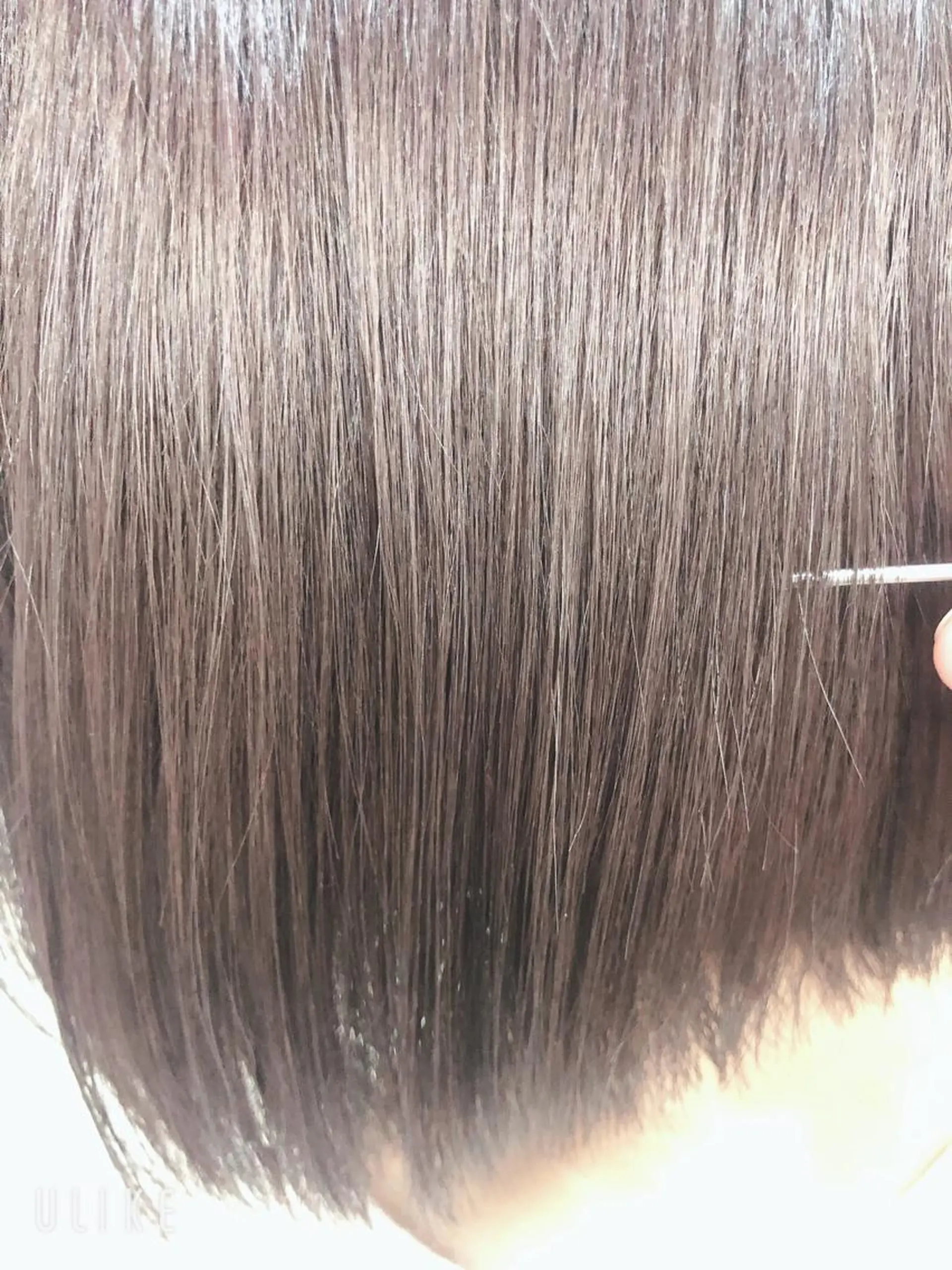 ショート カラー 髪質改善縮毛矯正× 艶髪カラー板垣智大のヘアスタイル