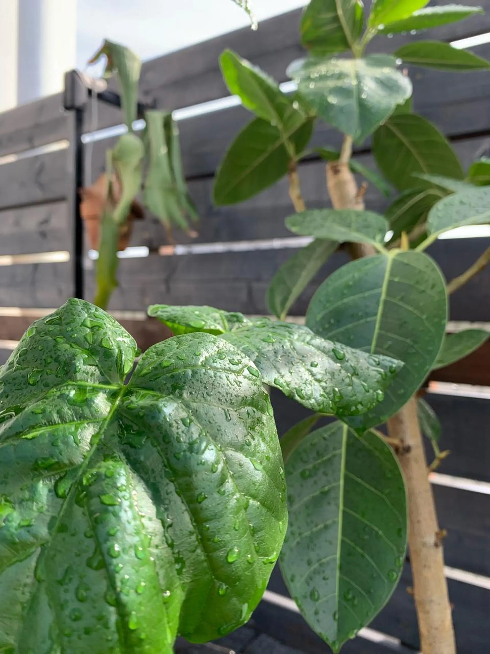 Emma ecole所属・Emma ecole /栄/RIOのヘアスタイル