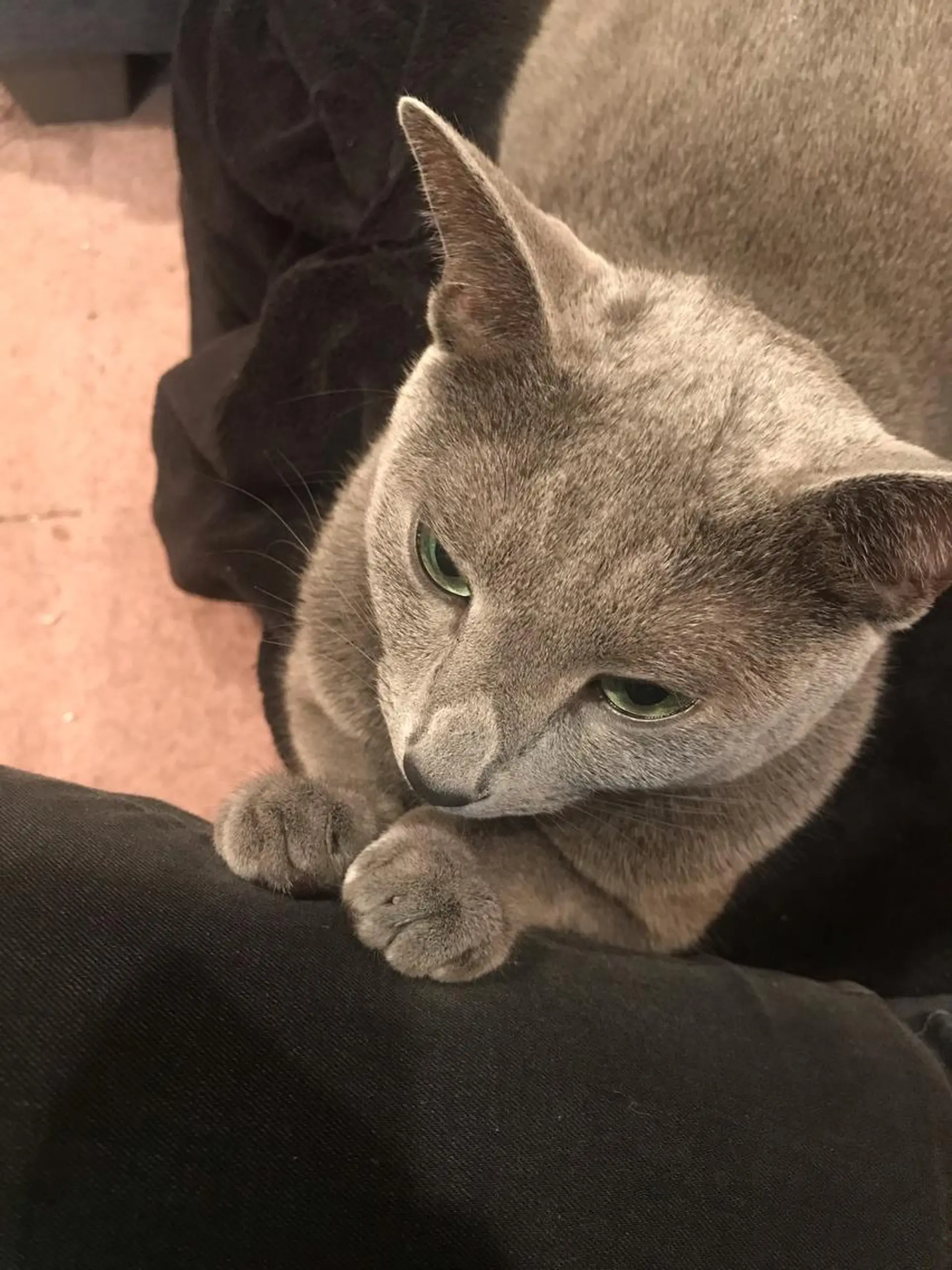 ショート カラー パーマ ヘアアレンジ メンズ キッズ ネイル マツエク・マツパ アニメ,Vオタク× 即効痩せエステサロンのエステ・リラクイメージ