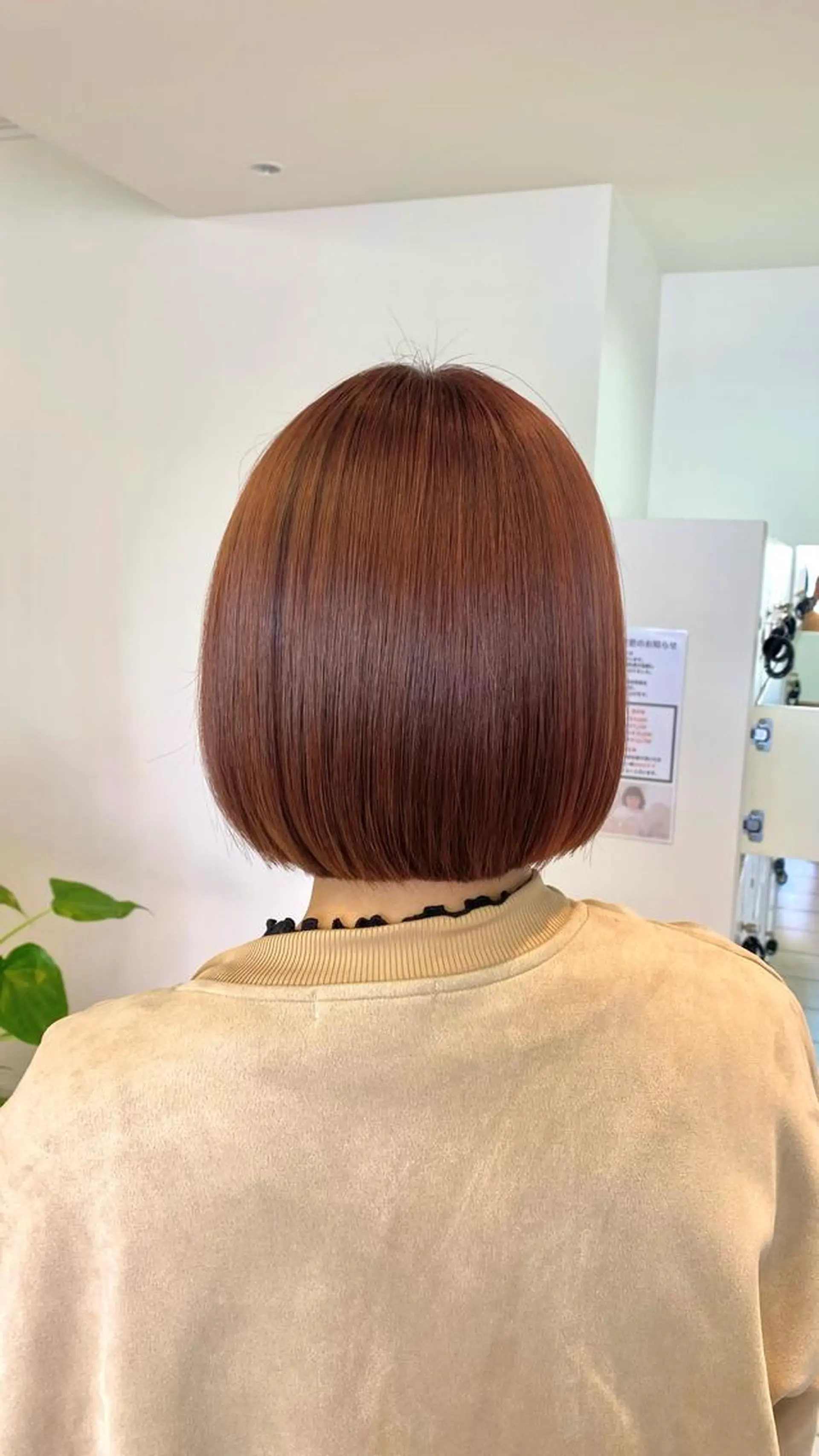 カラー ブラウンカラー レッドカラー ボブ 韓国ヘア・カラー 🩵SHIZUKUのヘアスタイル