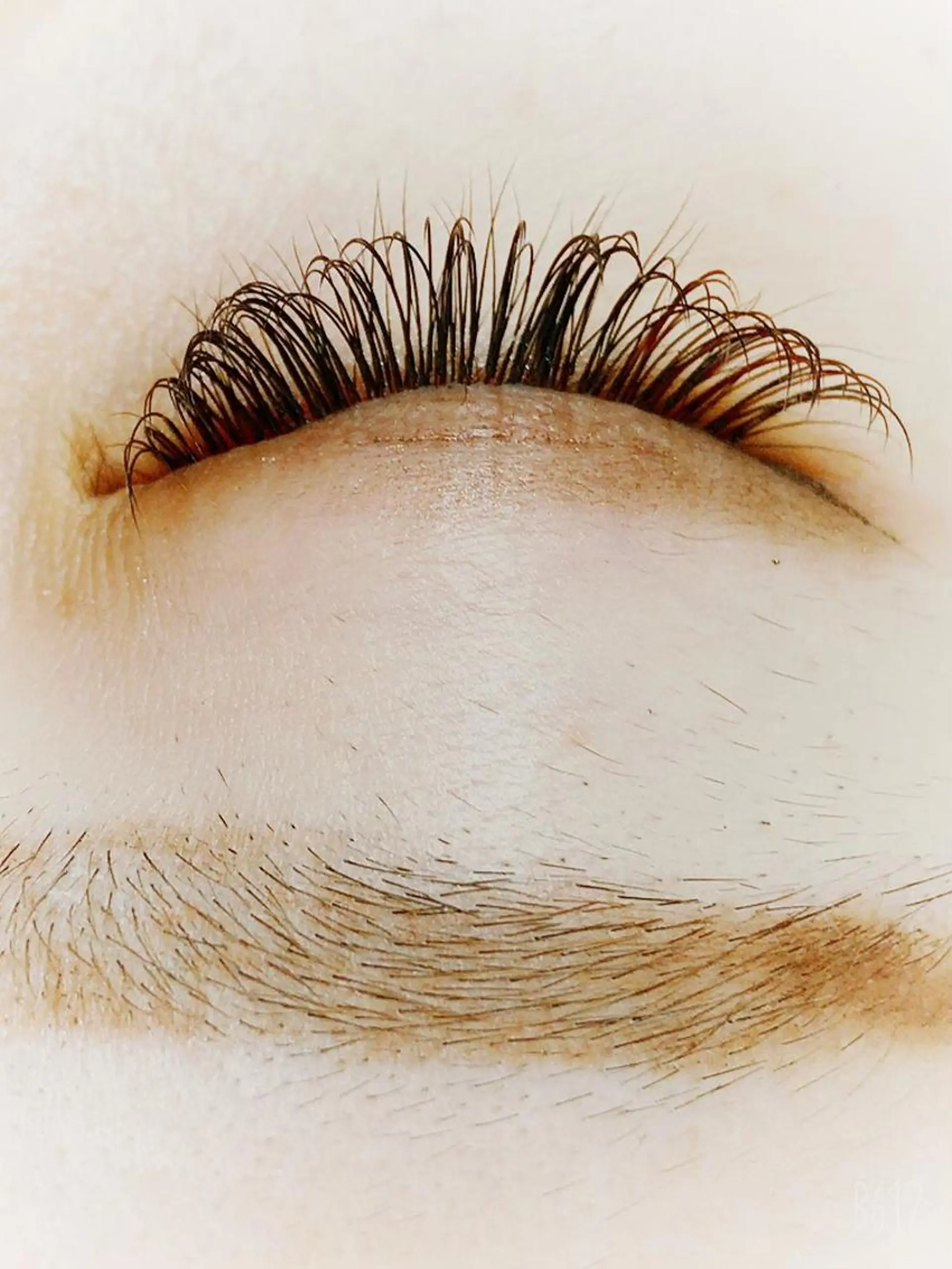 マツエク・マツパ カラーマツエク ナチュラル Eye'Care所属・Eye'Care アイケアの眉毛・アイブロウイメージ