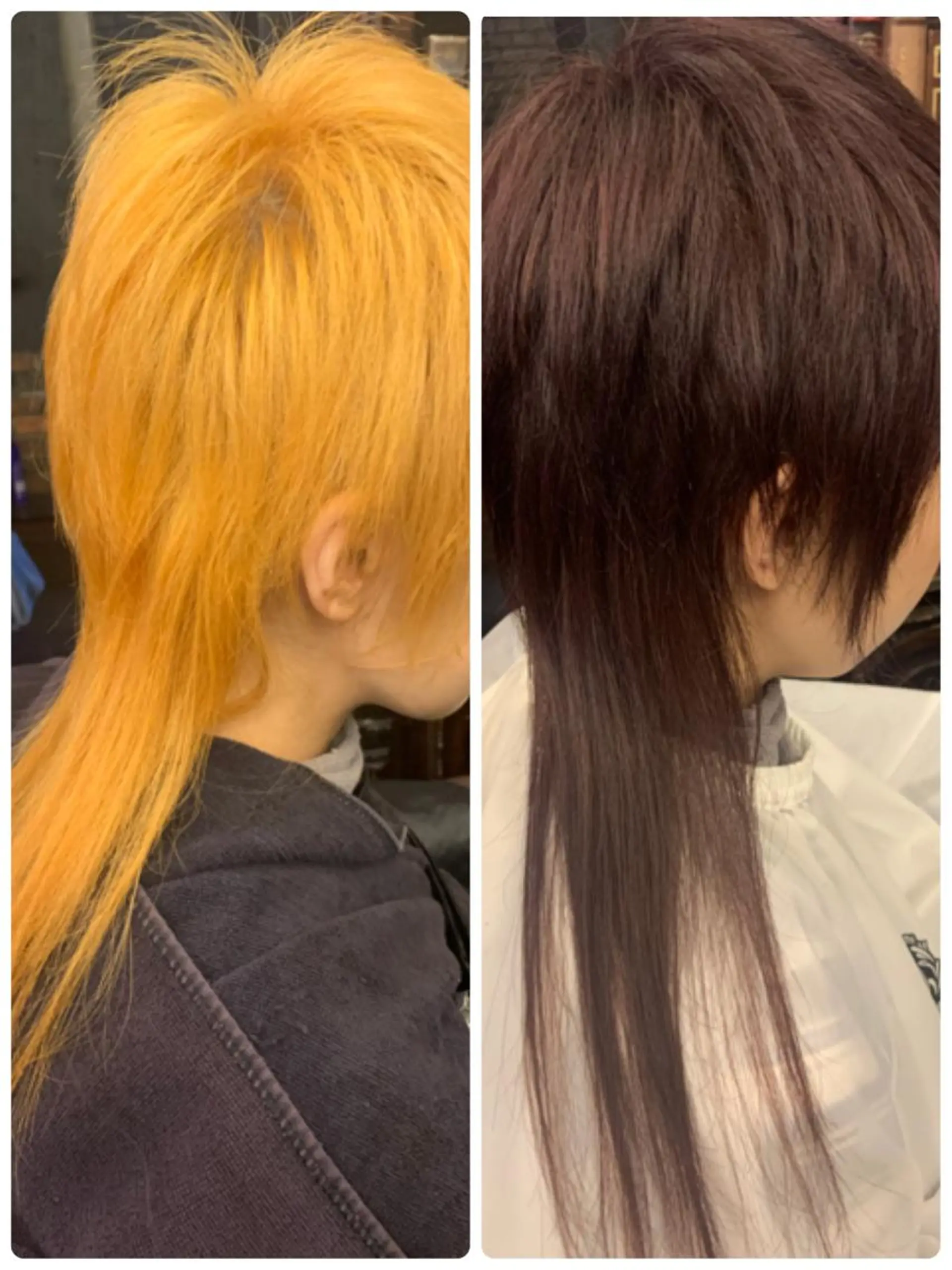 セミロング カラー ブリーチ レッドカラー バイオレットカラー 藤井菜々 （エルベスアクト）のヘアスタイル