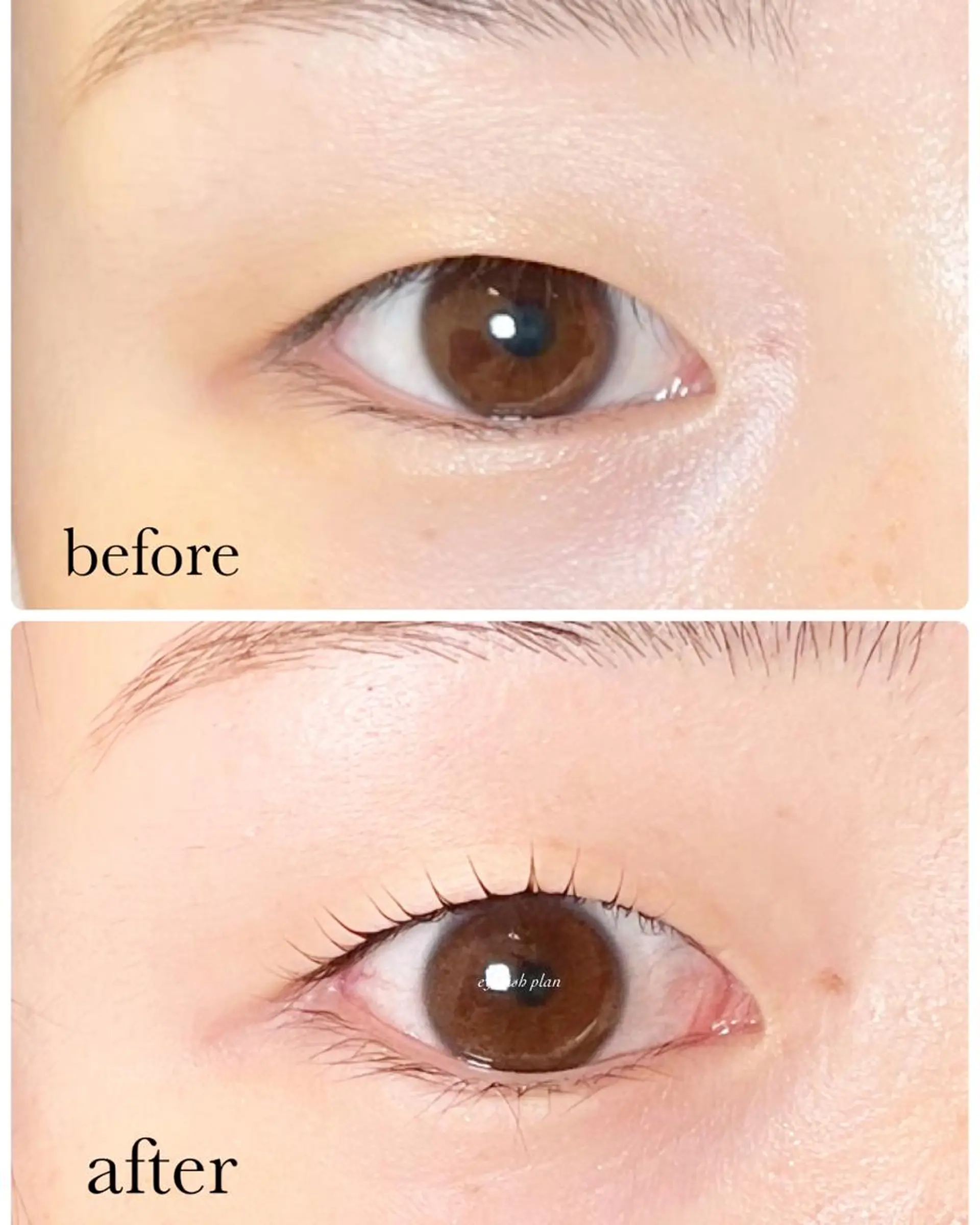 マツエク・マツパ まつげパーマ eyelash plan api所属・【plan】 kaoriのマツエク・マツパデザイン