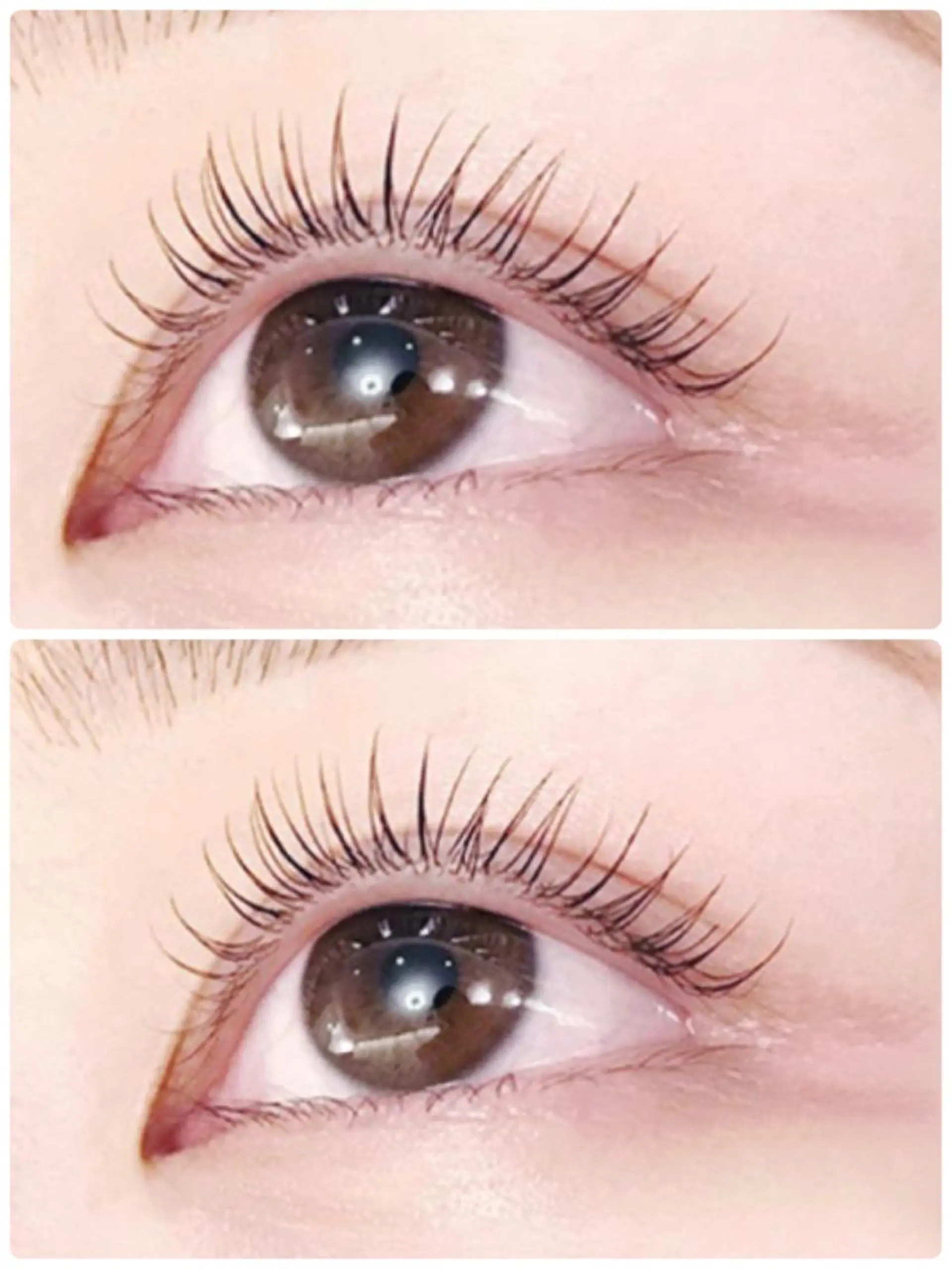 マツエク・マツパ 美まつ毛と美肌サロン lavjuのマツエク・マツパデザイン