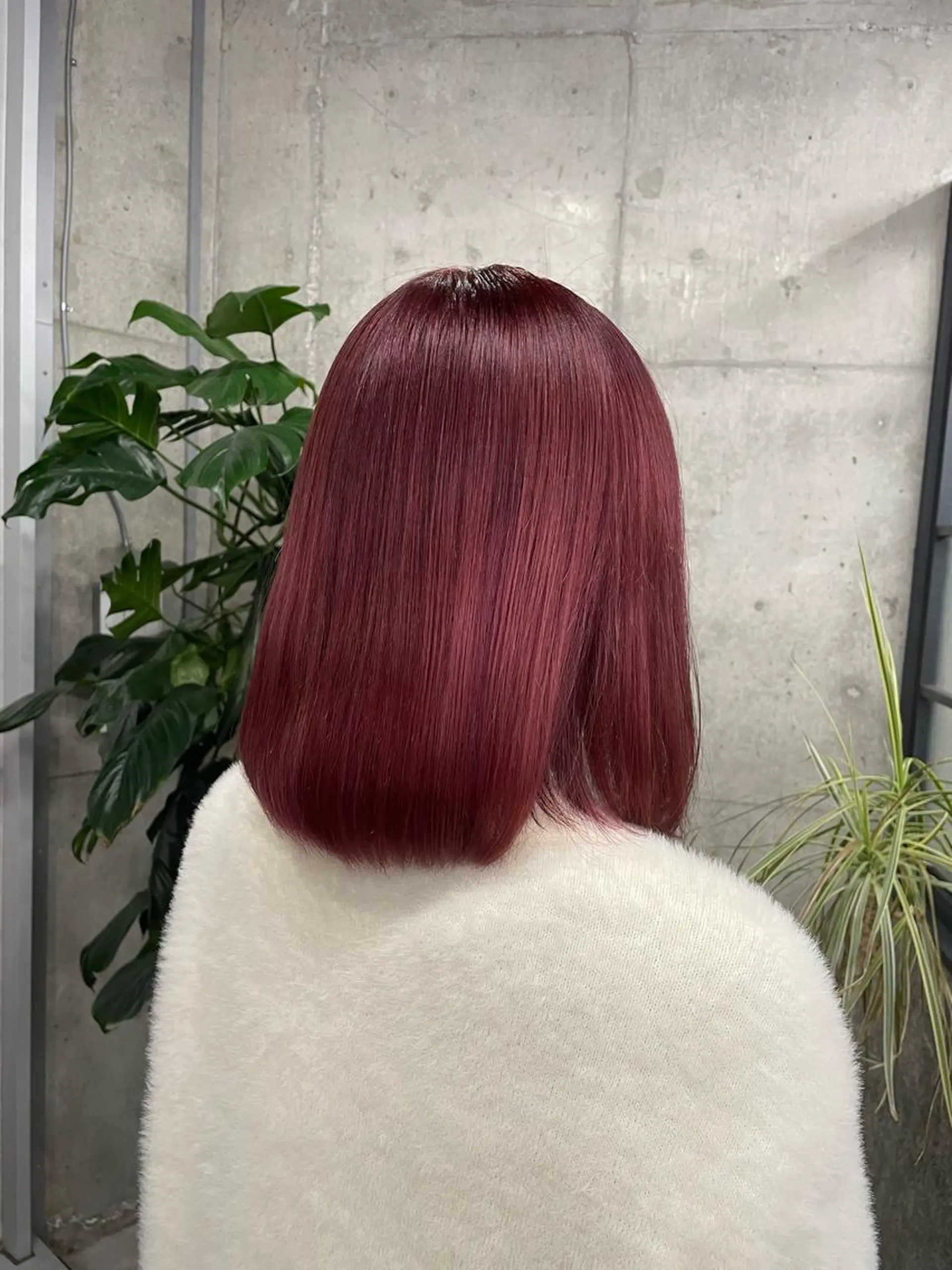 カラー ヘアカラー SOL.noel所属・ブリーチ/レイヤー/ ハイトーンShugaのヘアスタイル