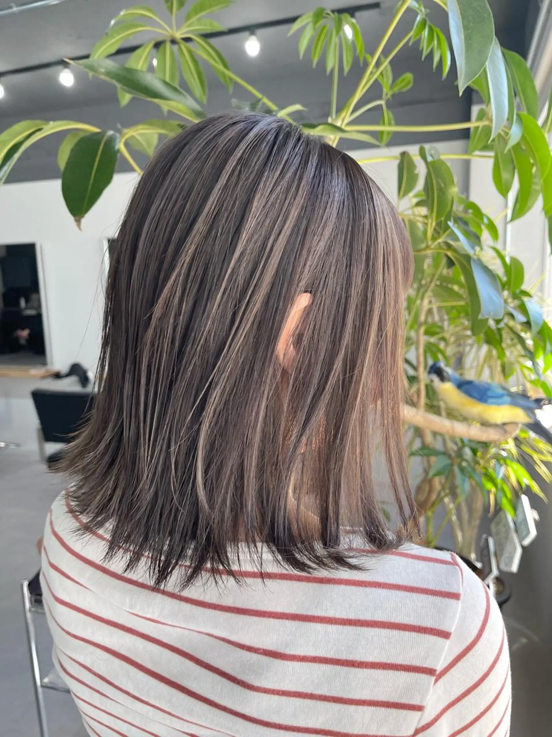 セミロング カラー ヘアカラー トリートメント Reb_keiji 👑小倉圭司のヘアスタイル
