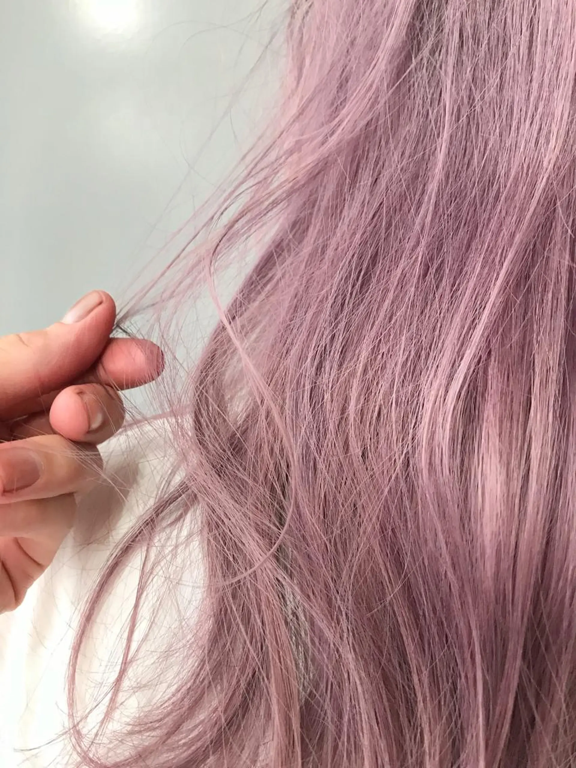 ショート カラー ラベンダーカラー ピンクカラー ピンクラベンダー カット ヘアカラー Piaコータロー ハイトーン&ボブのヘアスタイル