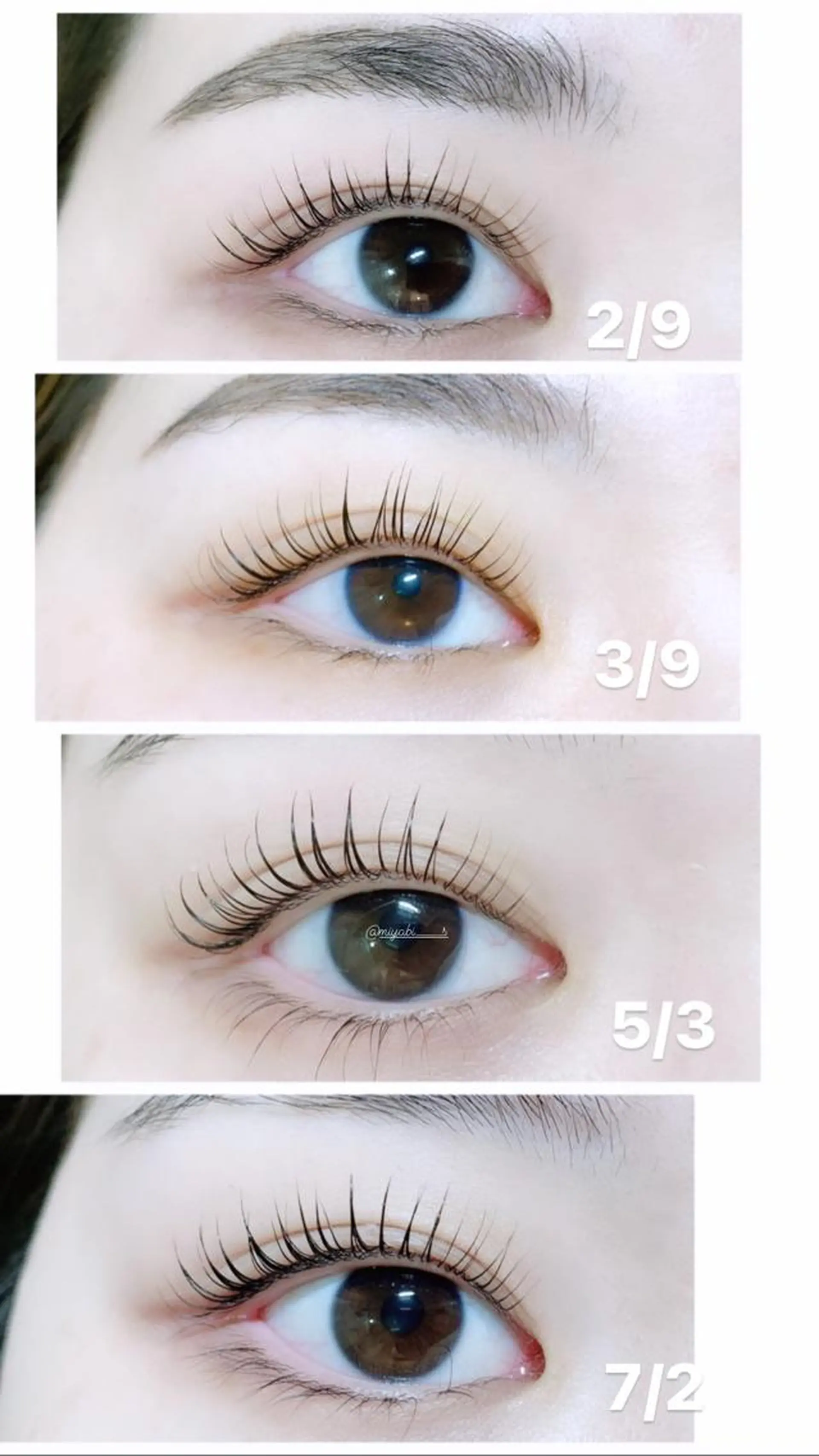 マツエク・マツパ fan.germe 副店長MIYABIのマツエク・マツパデザイン