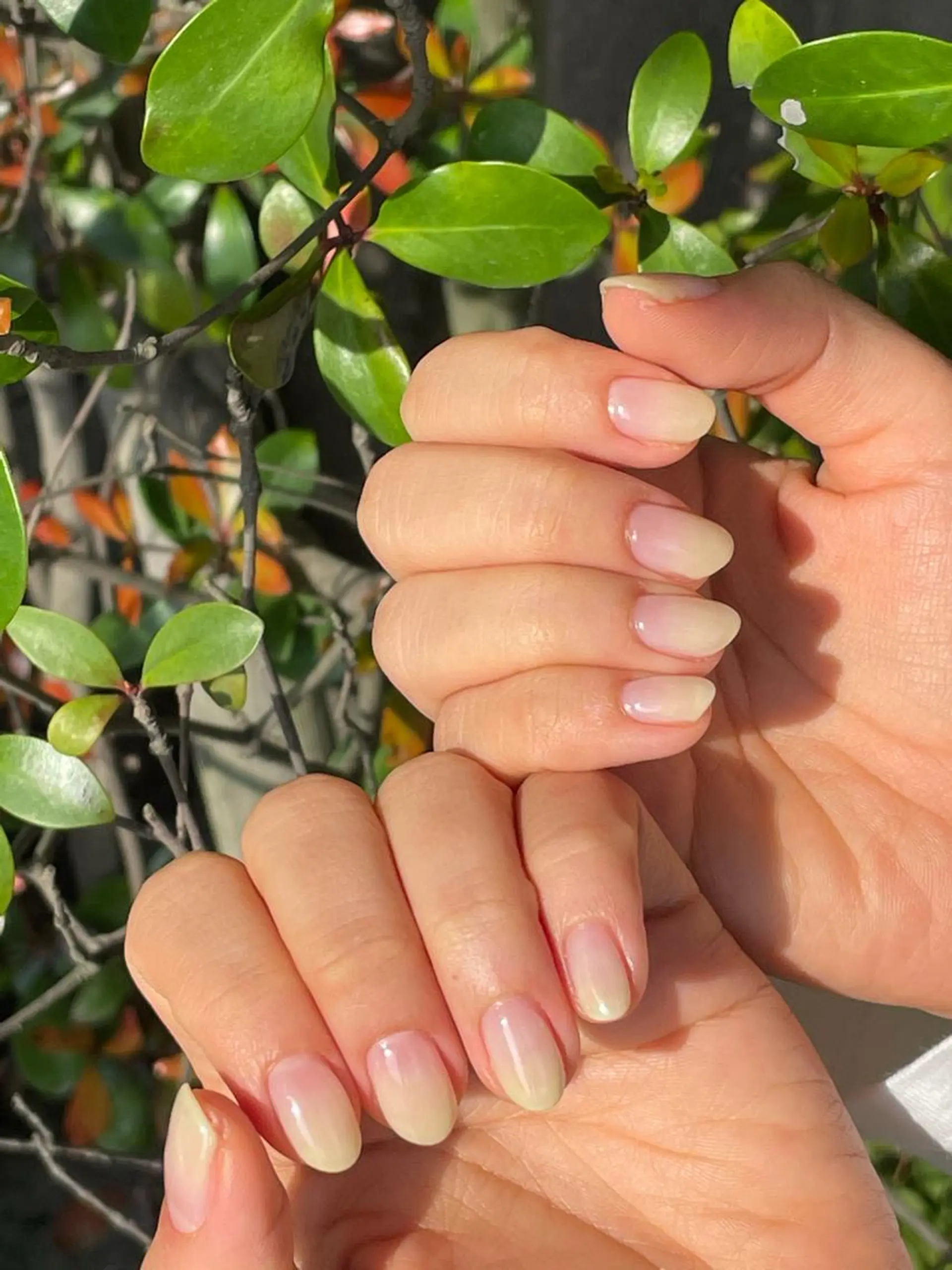 ネイル グラデーション 黄色 maison de charme Beauté所属・Beaute IORIのネイルデザイン