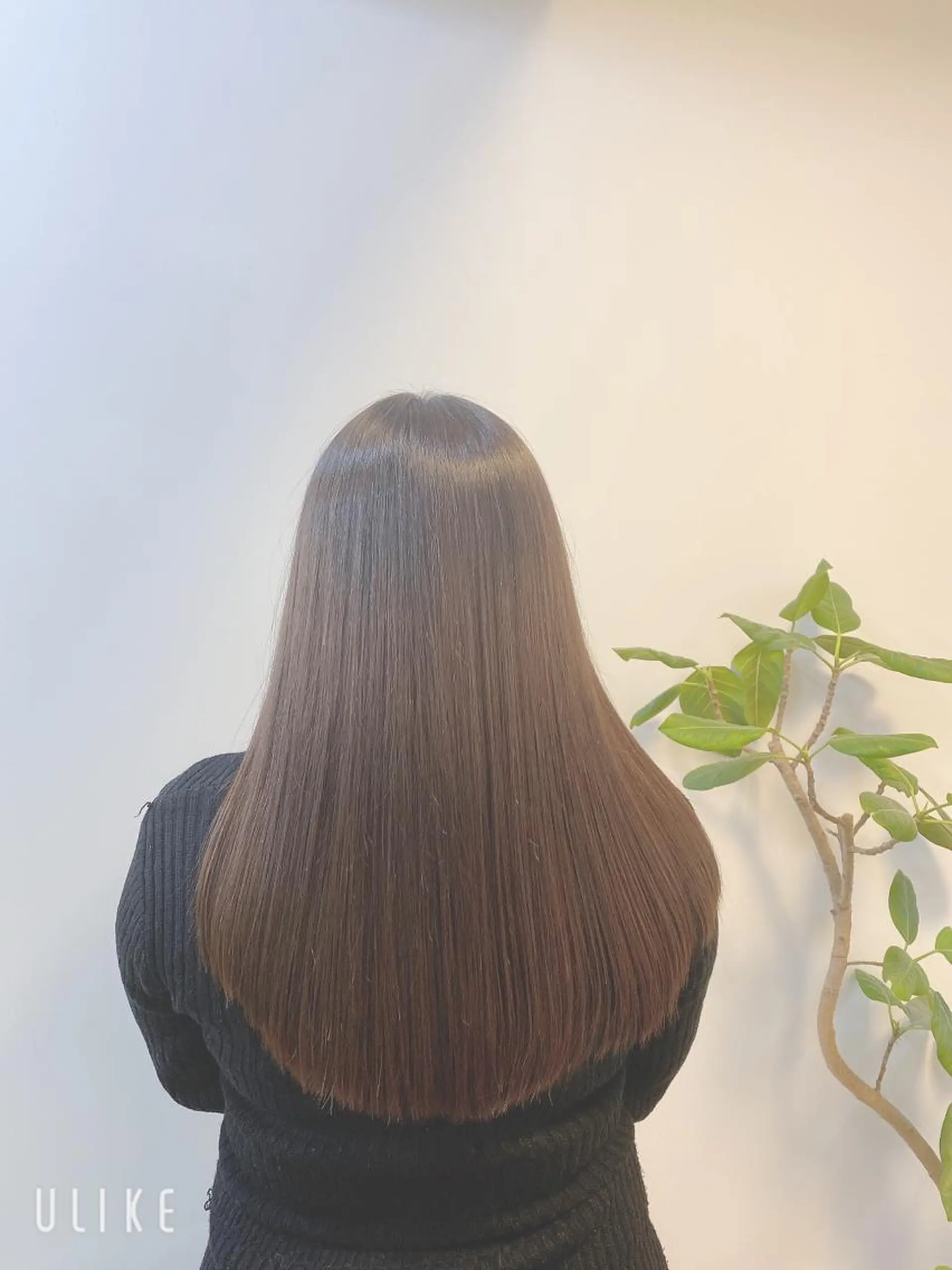 ロング 【エシカル】 HOSOMIのヘアスタイル