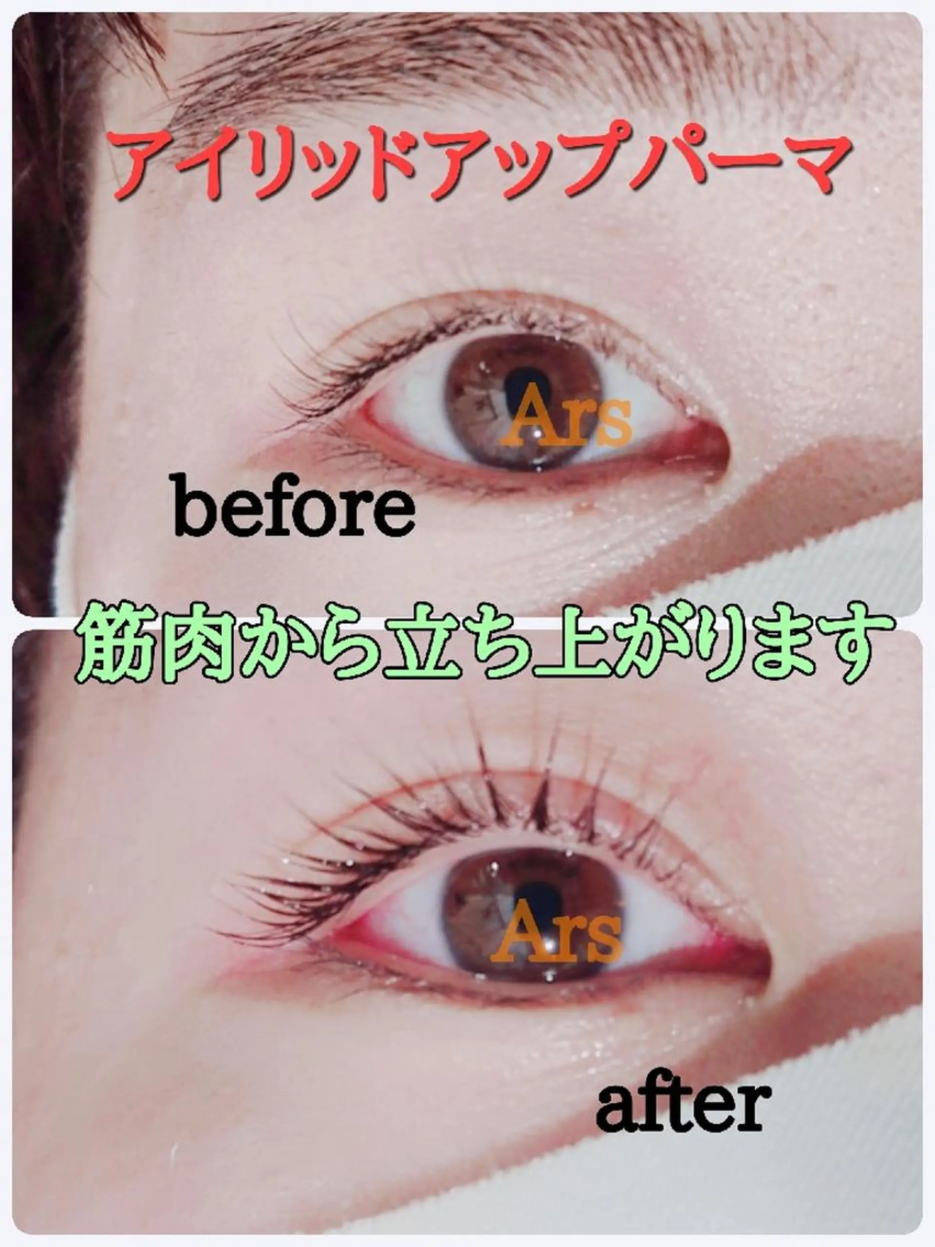 マツエク・マツパ アイリッドアップパーマ Ars (アルス)所属・Ars (アルス)のマツエク・マツパデザイン