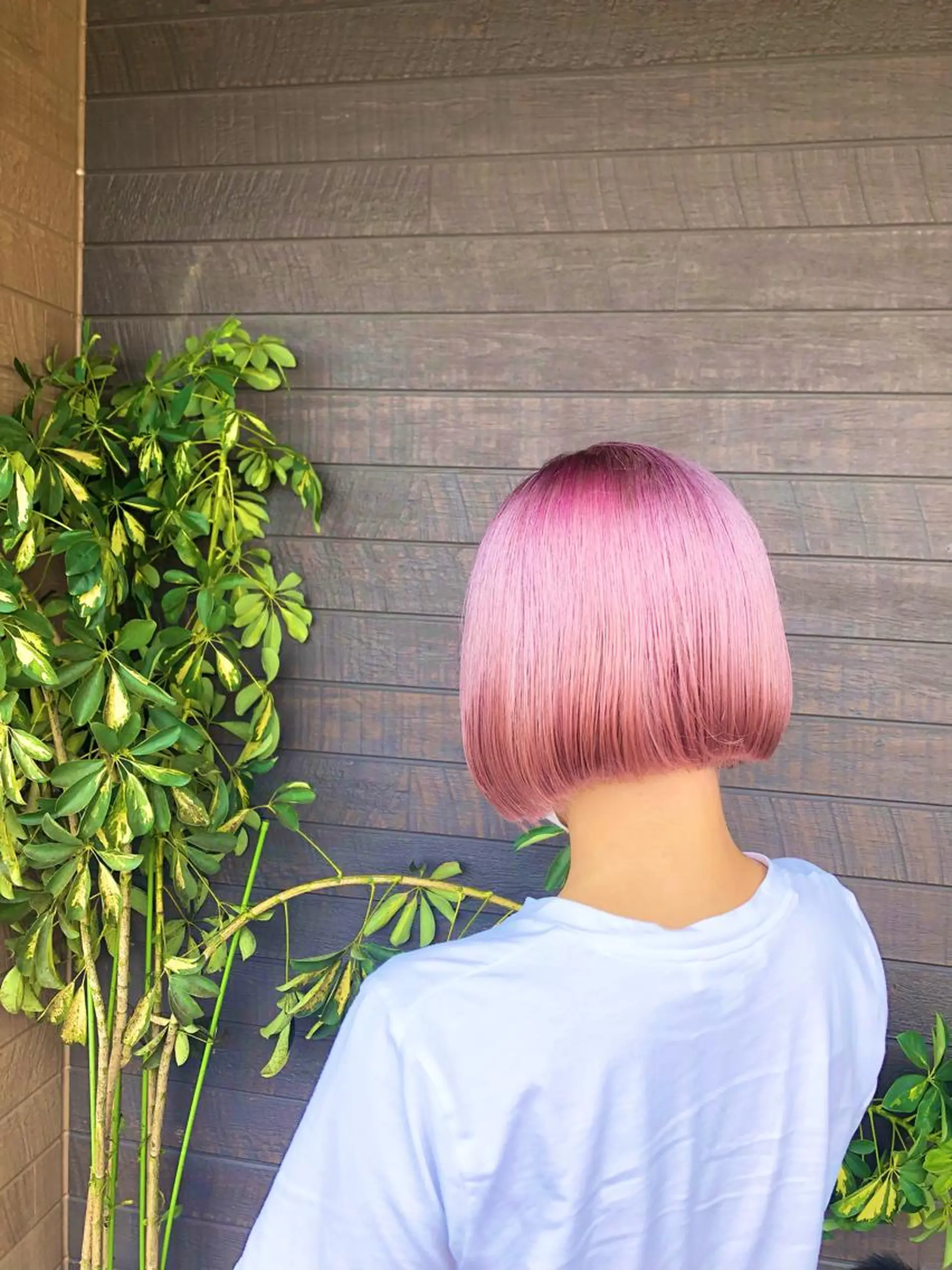 ショート 太白区白髪ぼかし/ ボブカット/千葉達人のヘアスタイル