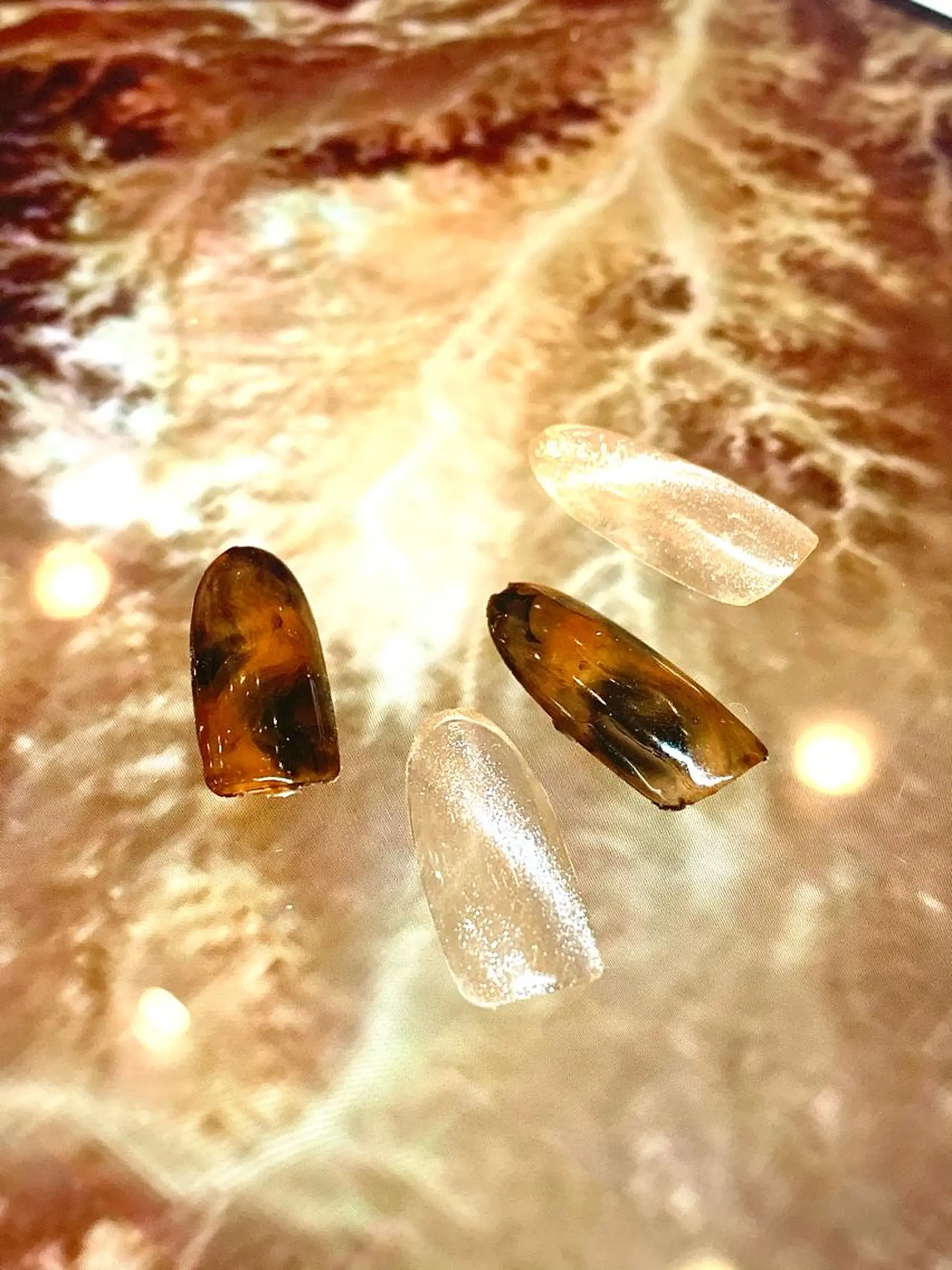 ネイル フットネイル キャッツアイ西荻窪店 yasuoのネイルデザイン