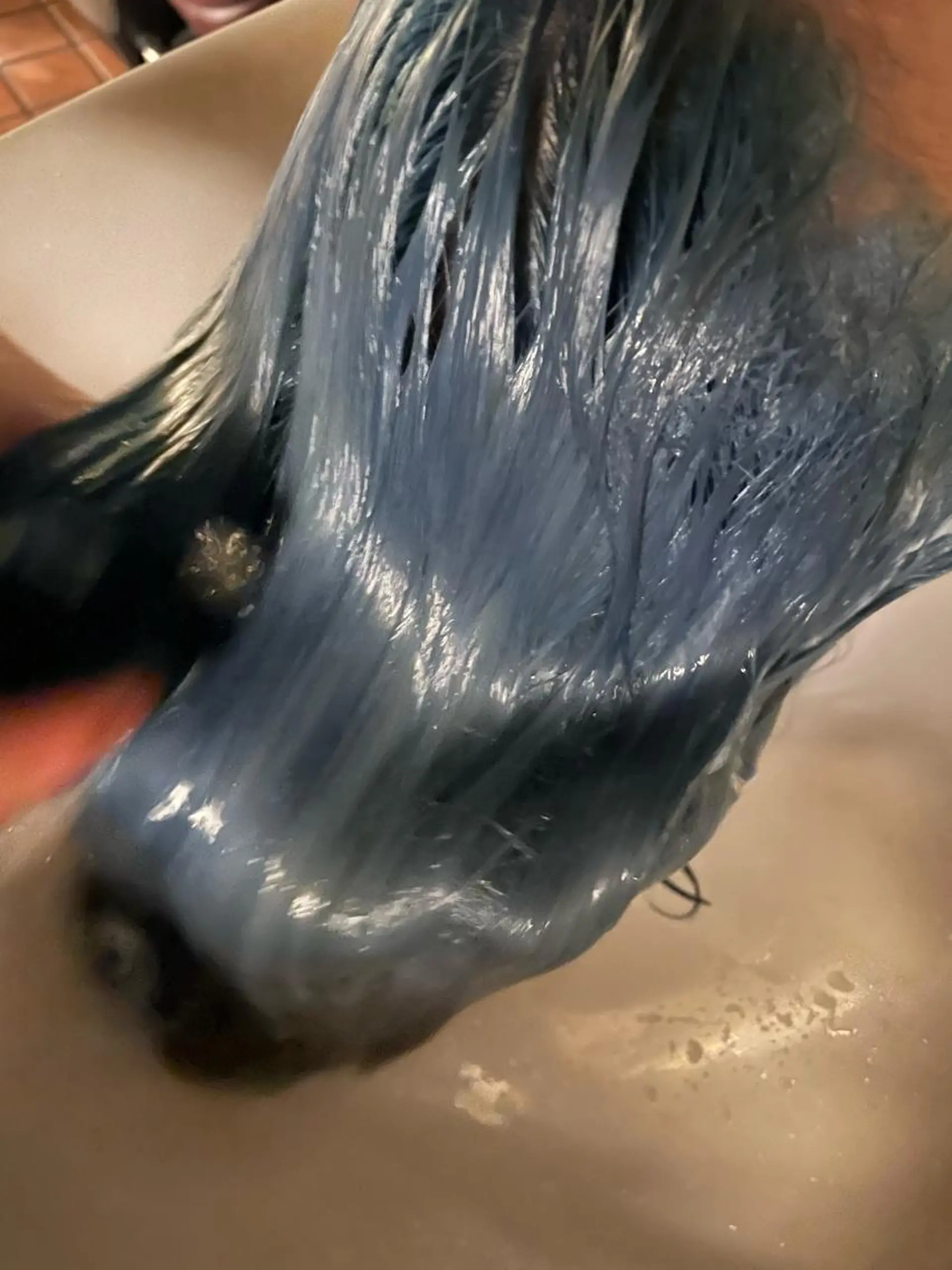 ミディアム カラー ヘアアレンジ ハイトーンカラー トリートメント 🪽艶感× hair ｜kazaneのヘアスタイル