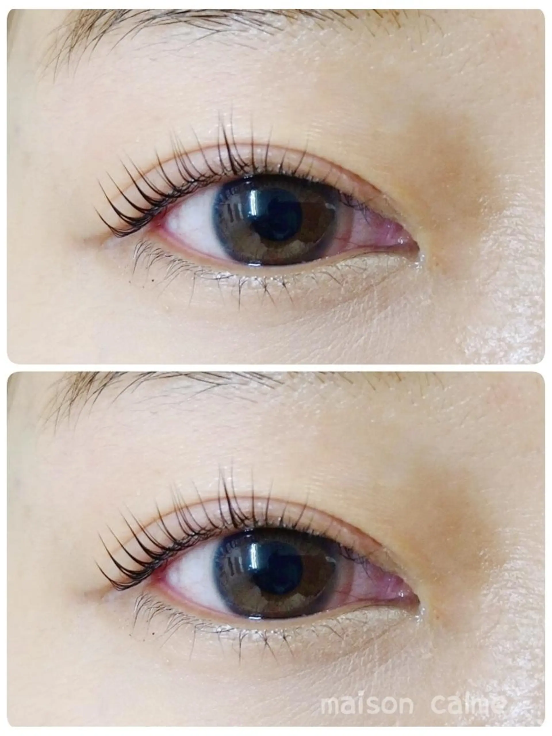 マツエク・マツパ まつげパーマ maison calmeのマツエク・マツパデザイン