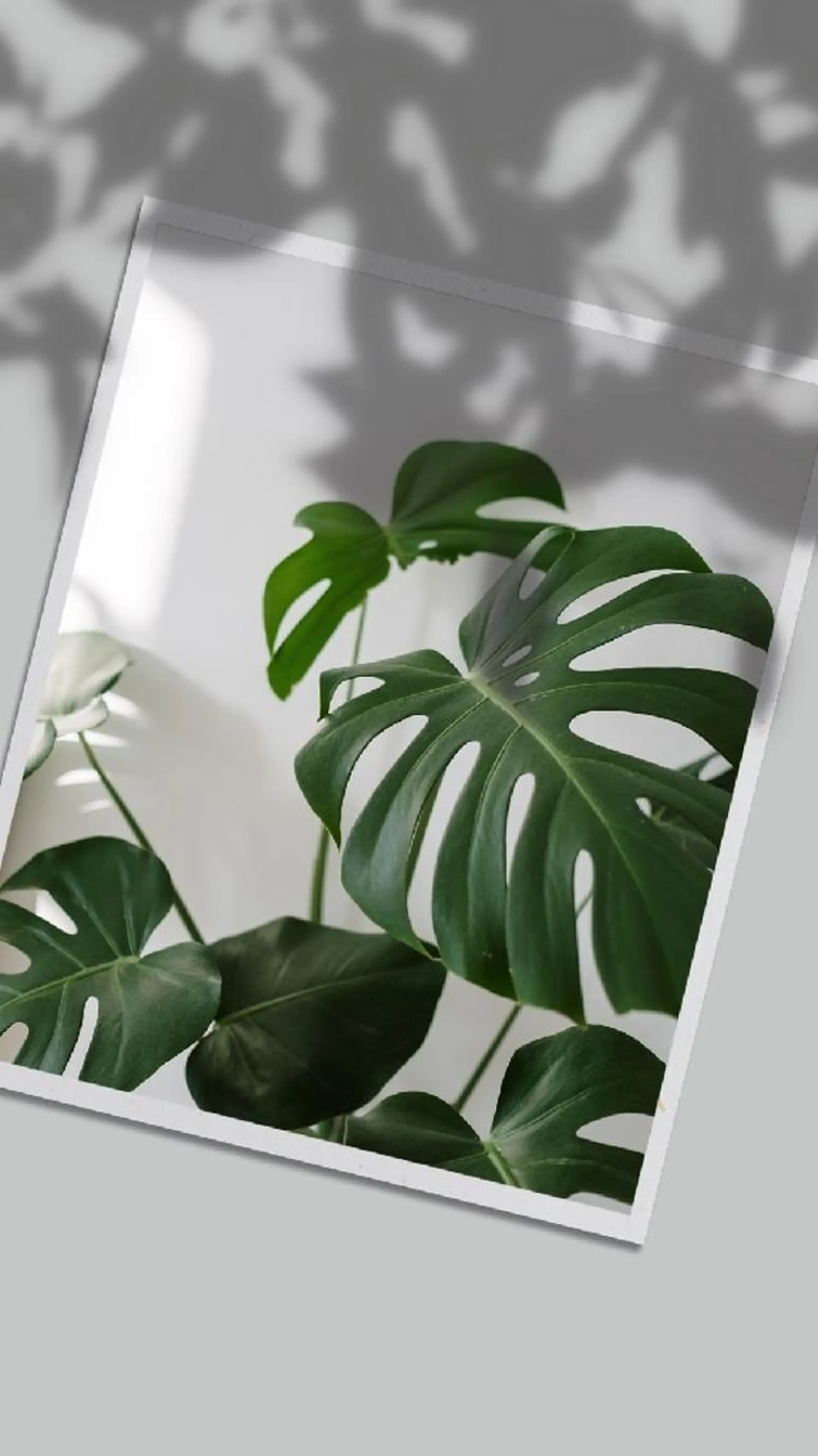 Luana waxing salon所属・Luana wax 🐚根本のエステ・リラクイメージ