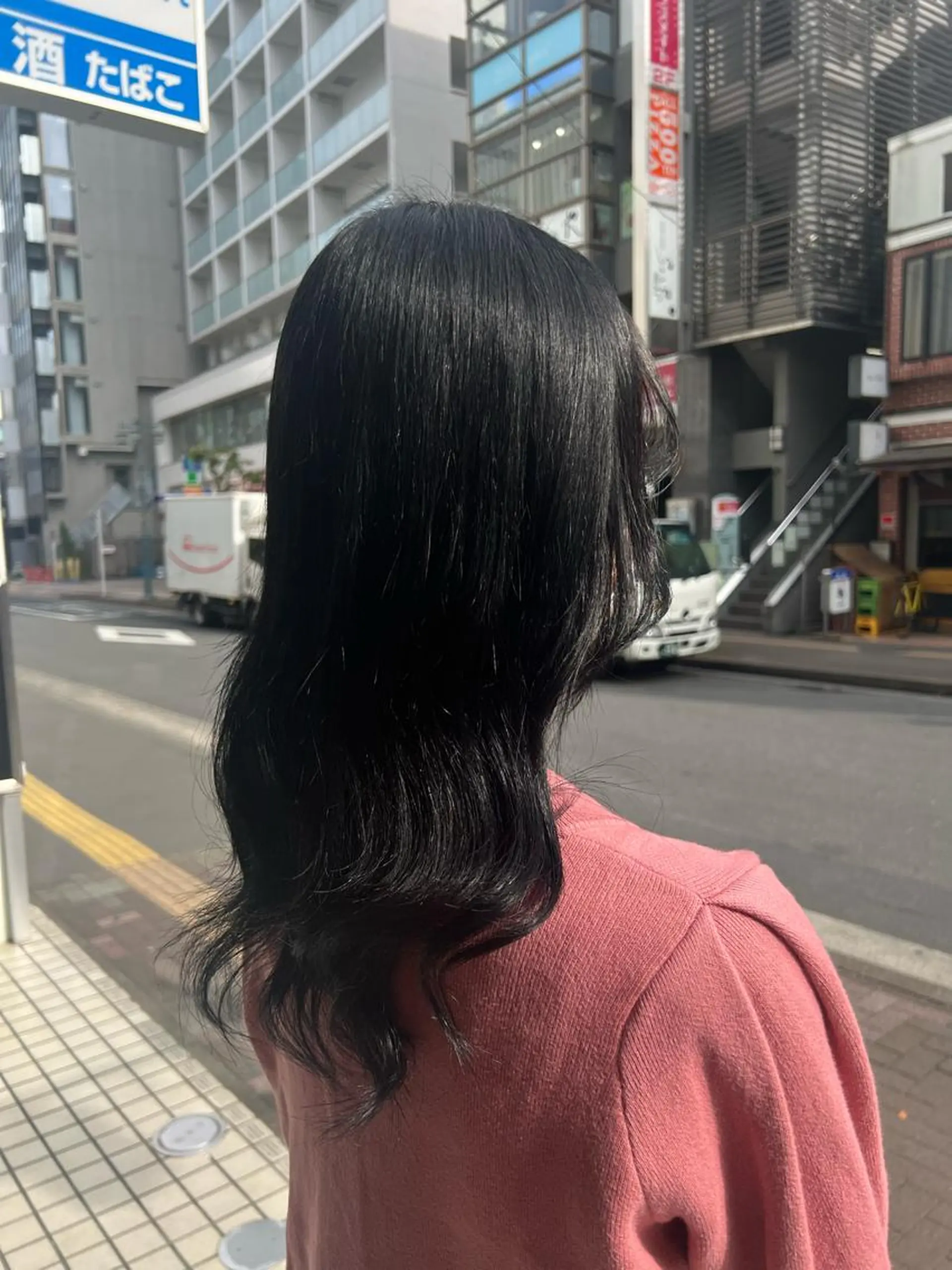 ロング カラー 黒髪 ブルーカラー ブルーブラック 酸性ストレート/ カスミ🩰のヘアスタイル