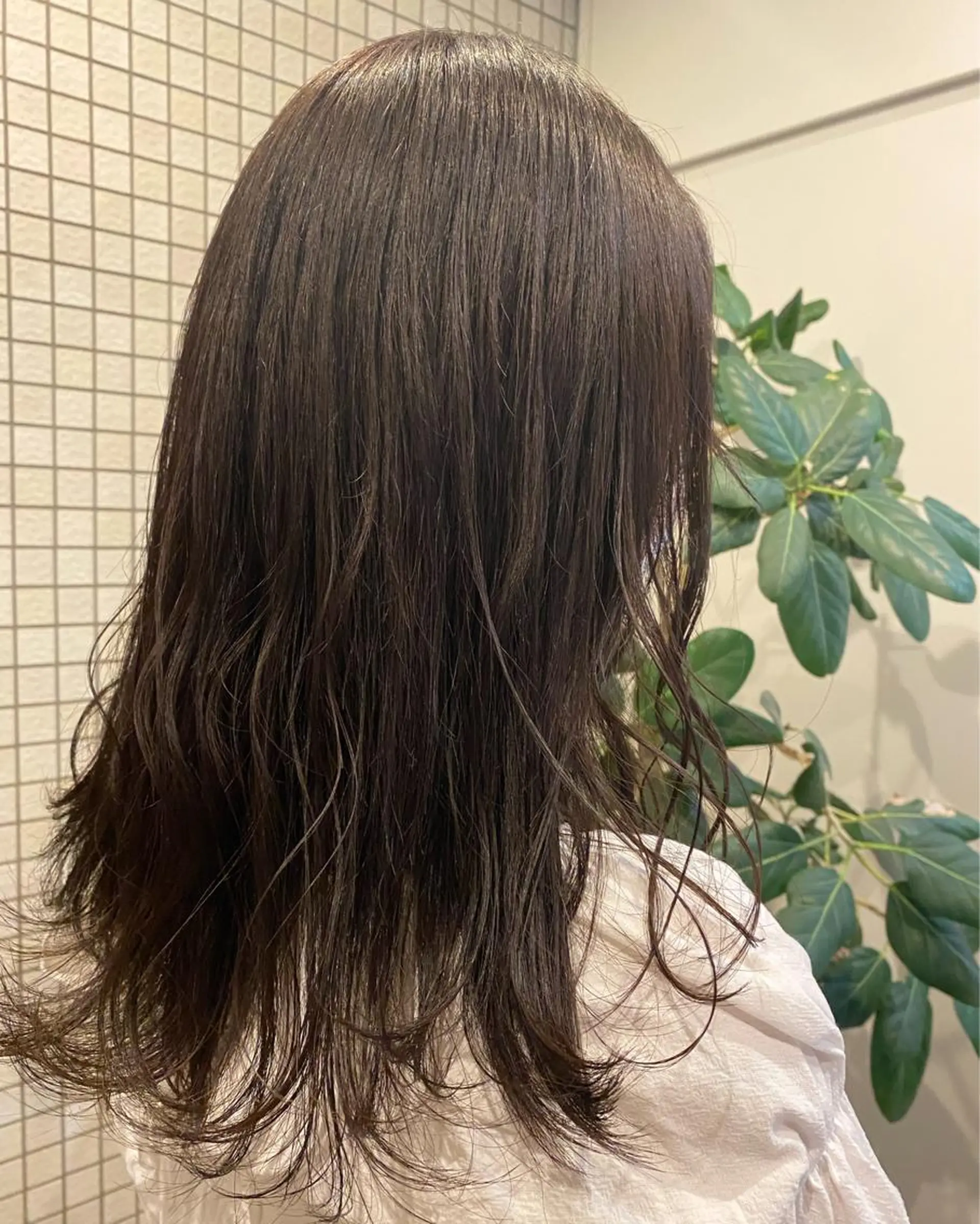 セミロング カラー ブラウンカラー 透明感カラー 🩰asumiのヘアスタイル