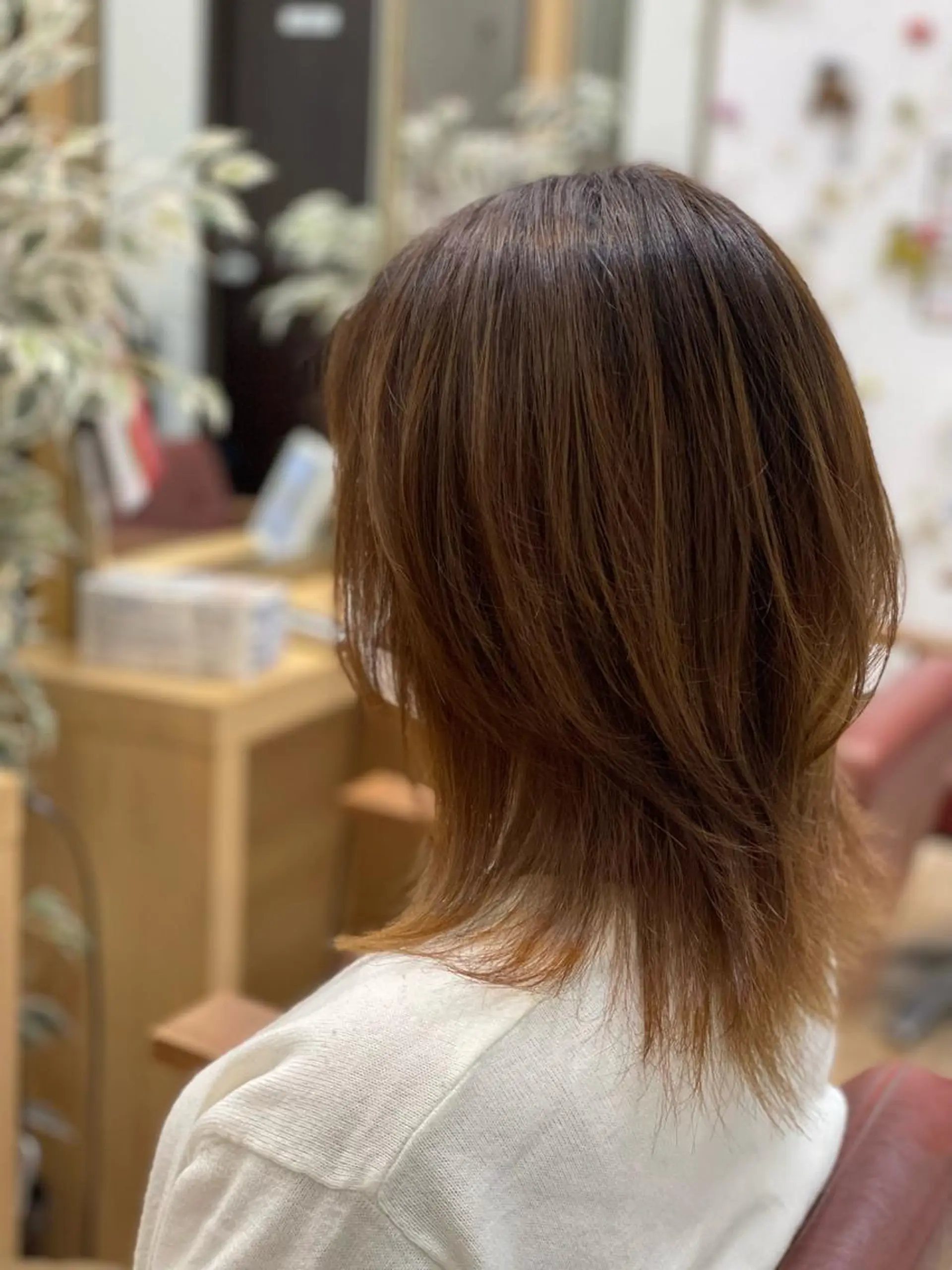 ミディアム カラー レイヤーカット ウルフカット ウルフレイヤー 💫カットパーマ💫 伊原虎太郎のヘアスタイル