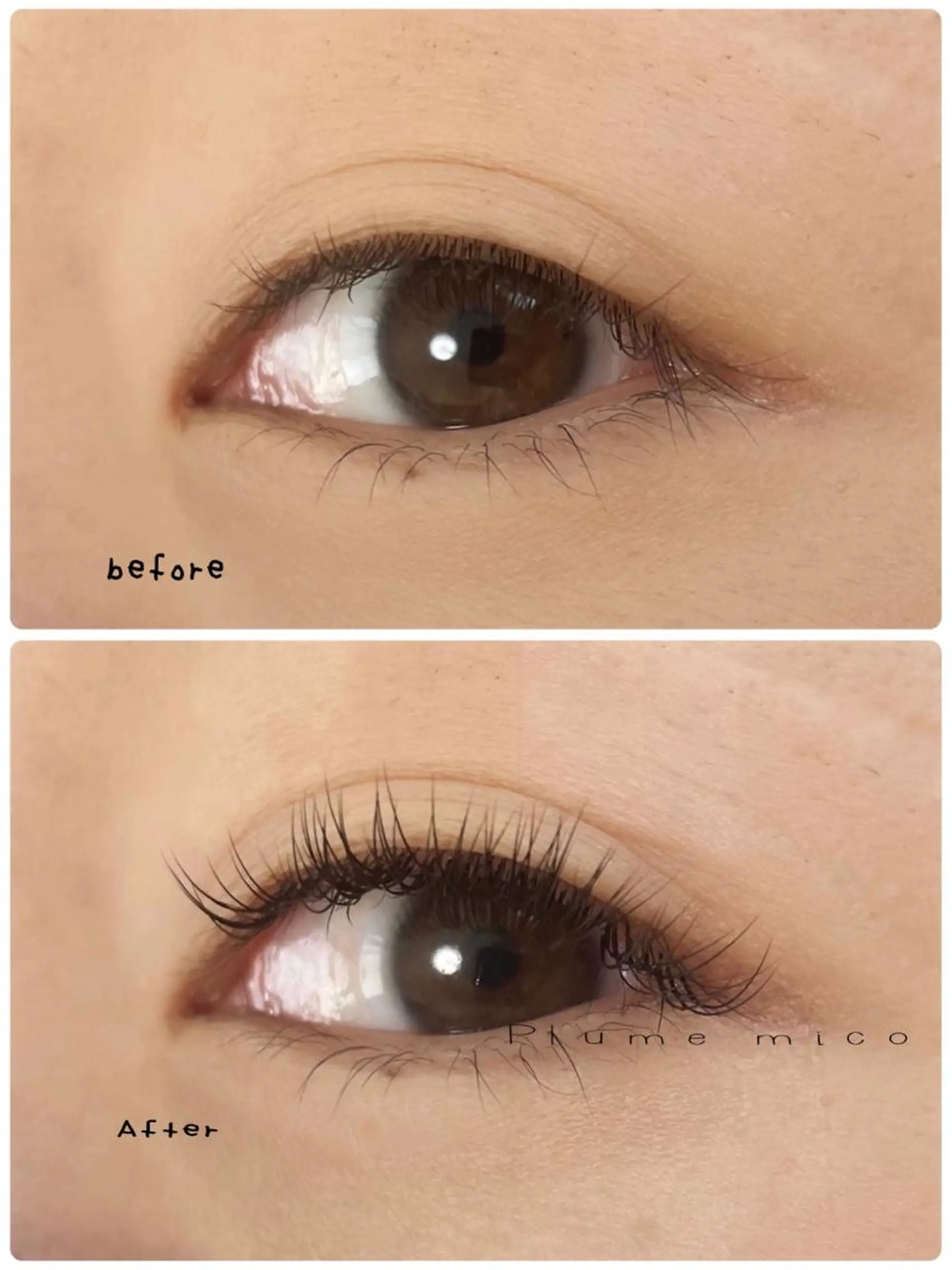 マツエク・マツパ マツエク Plume micoのマツエク・マツパデザイン